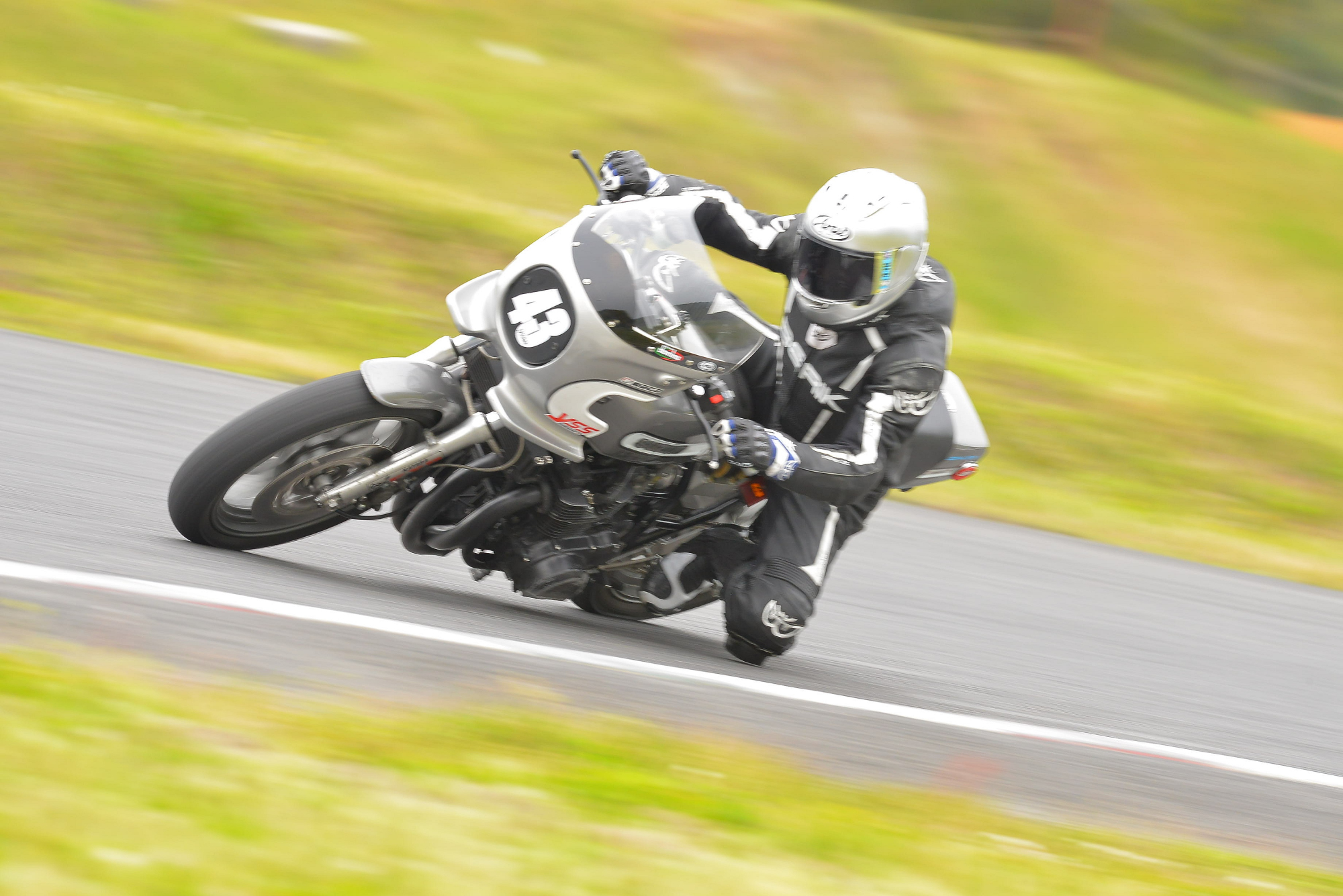 D8J_0976.JPG