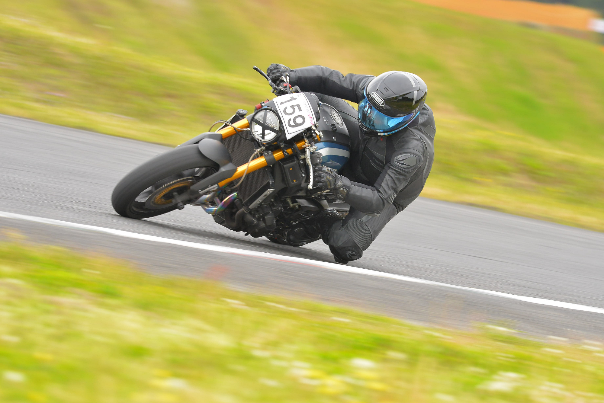 D8J_0989.JPG