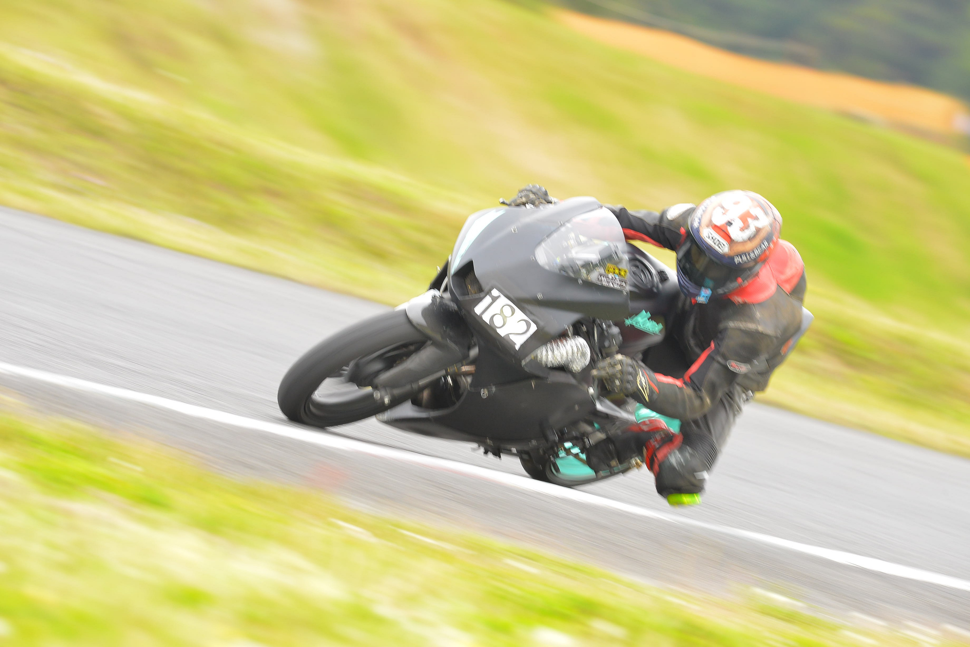 D8J_1008.JPG