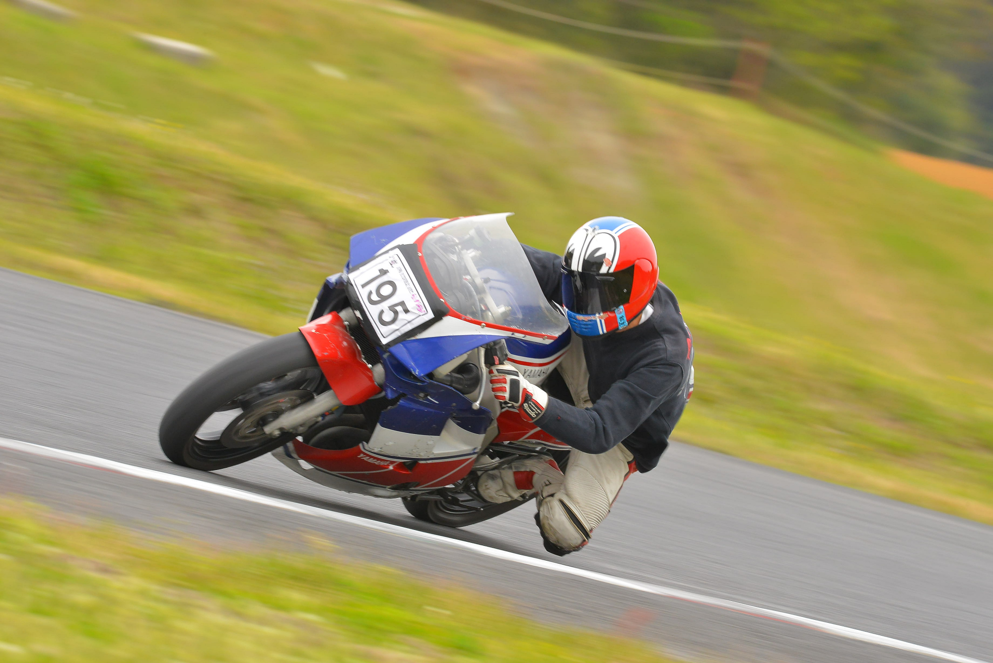 D8J_1021.JPG