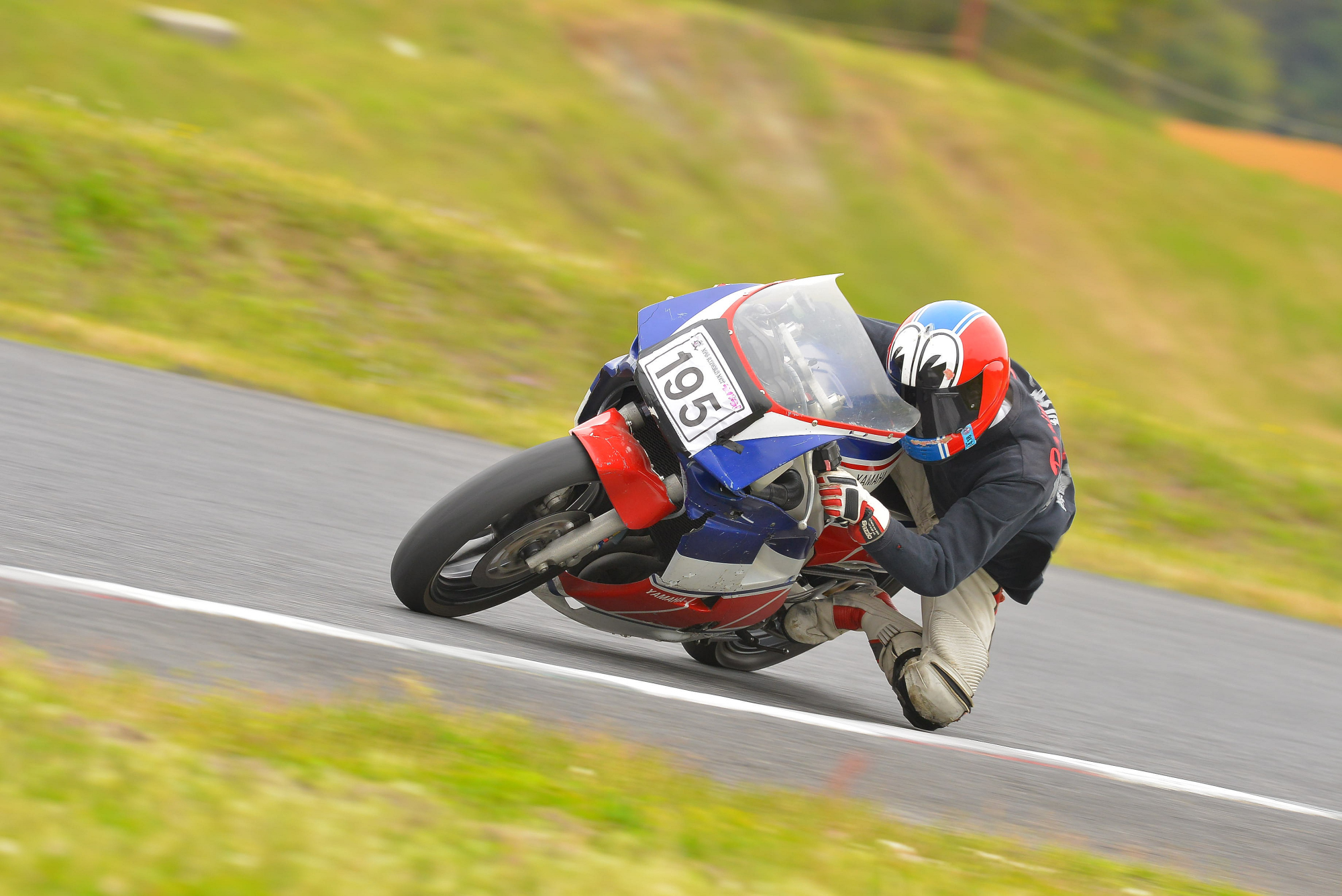 D8J_1139.JPG