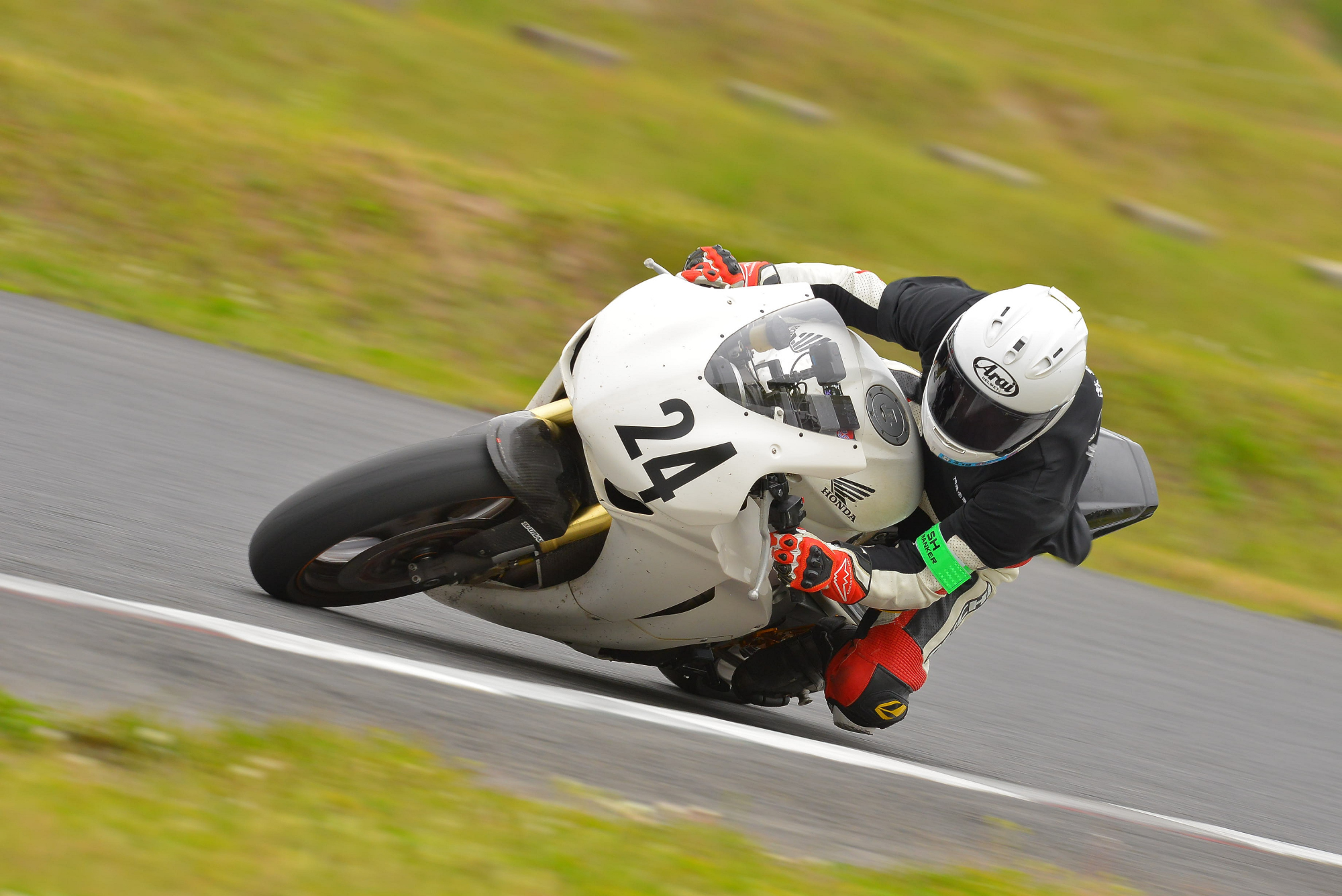 D8J_1189.JPG