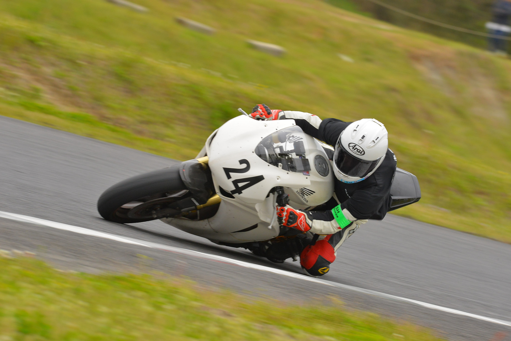 D8J_1200.JPG