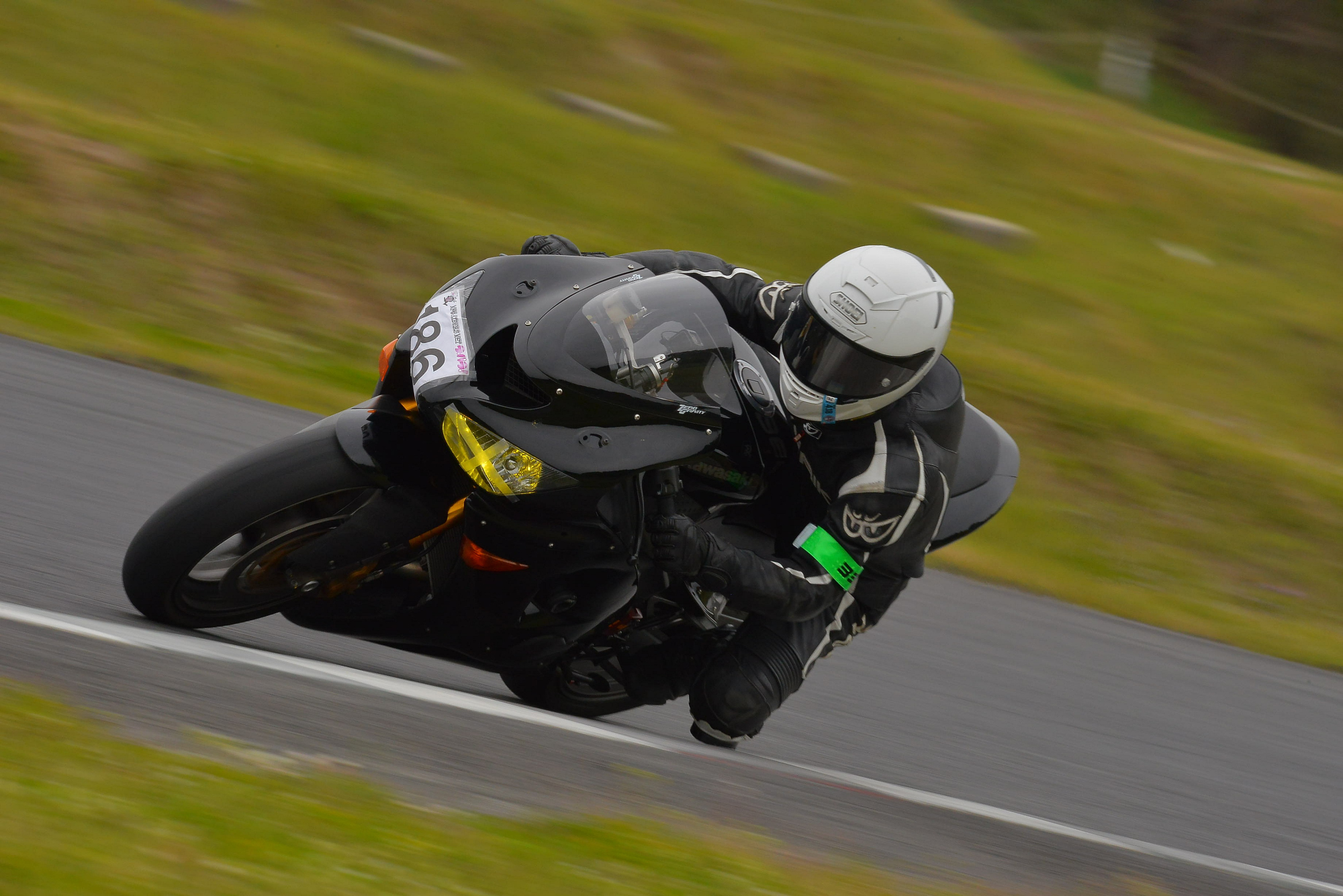 D8J_1221.JPG