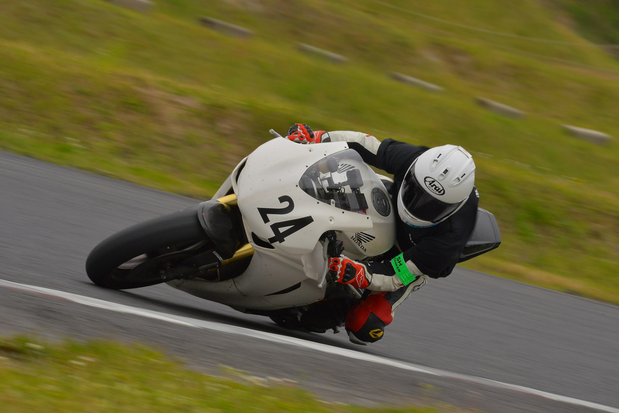 D8J_1233.JPG