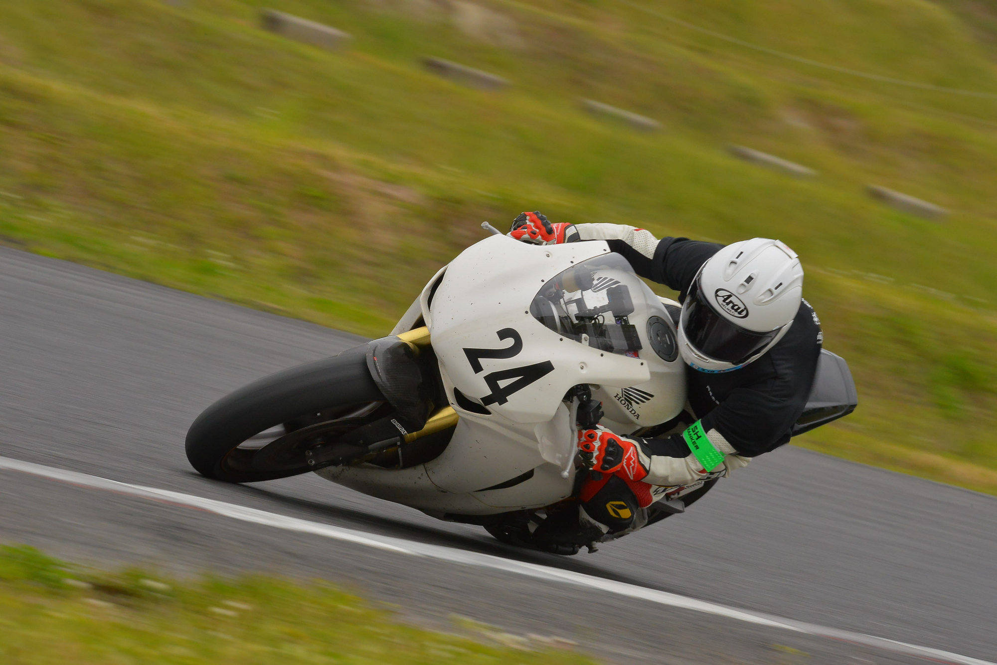 D8J_1245.JPG