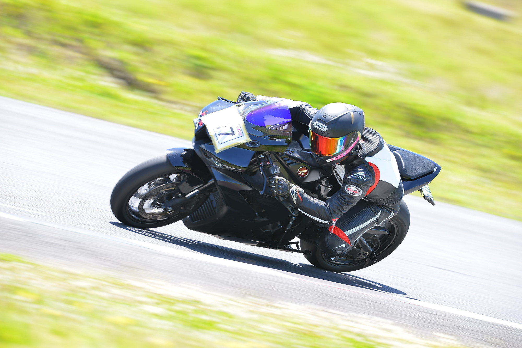 D8J_0019.JPG