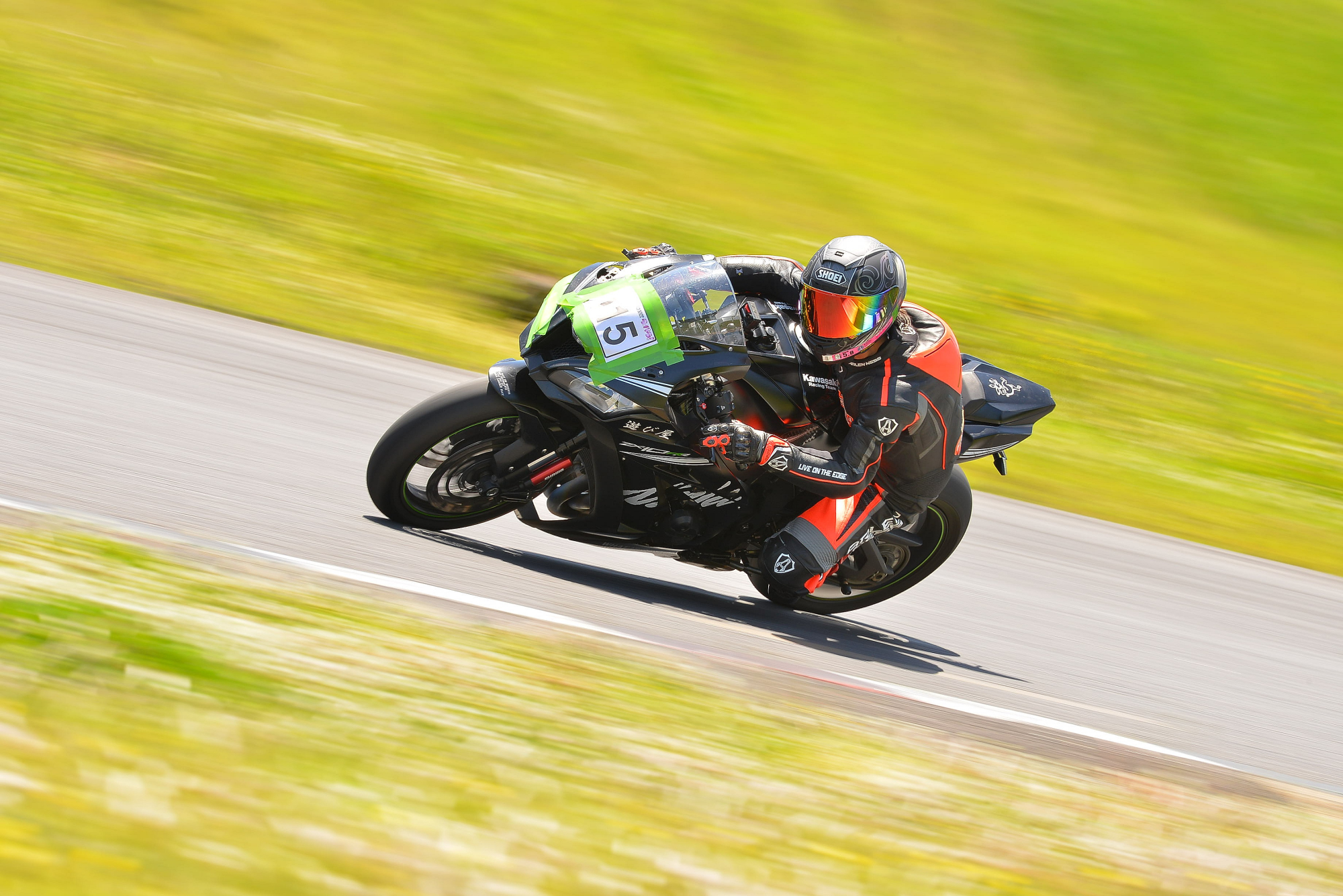 D8J_0162.JPG