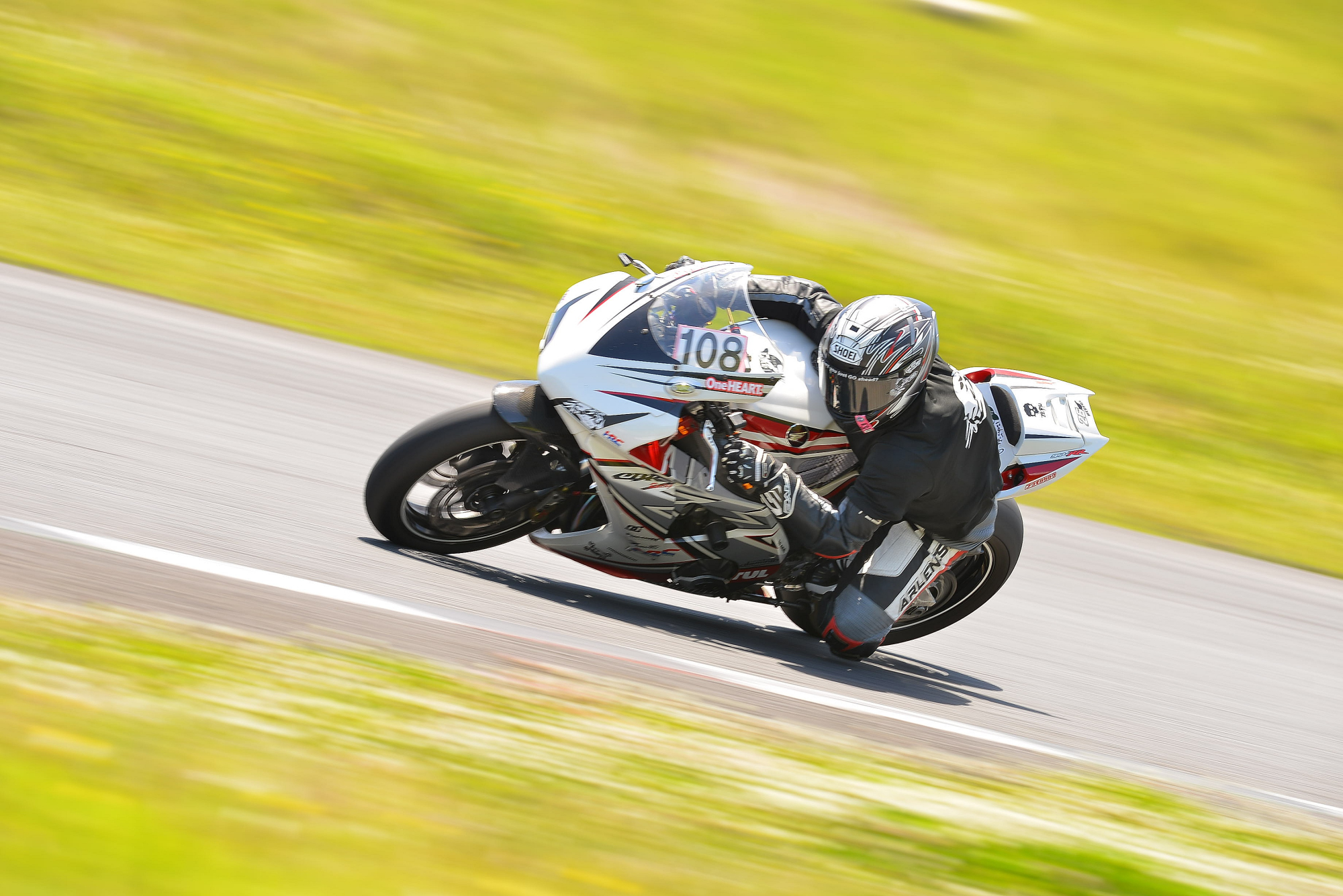 D8J_0246.JPG