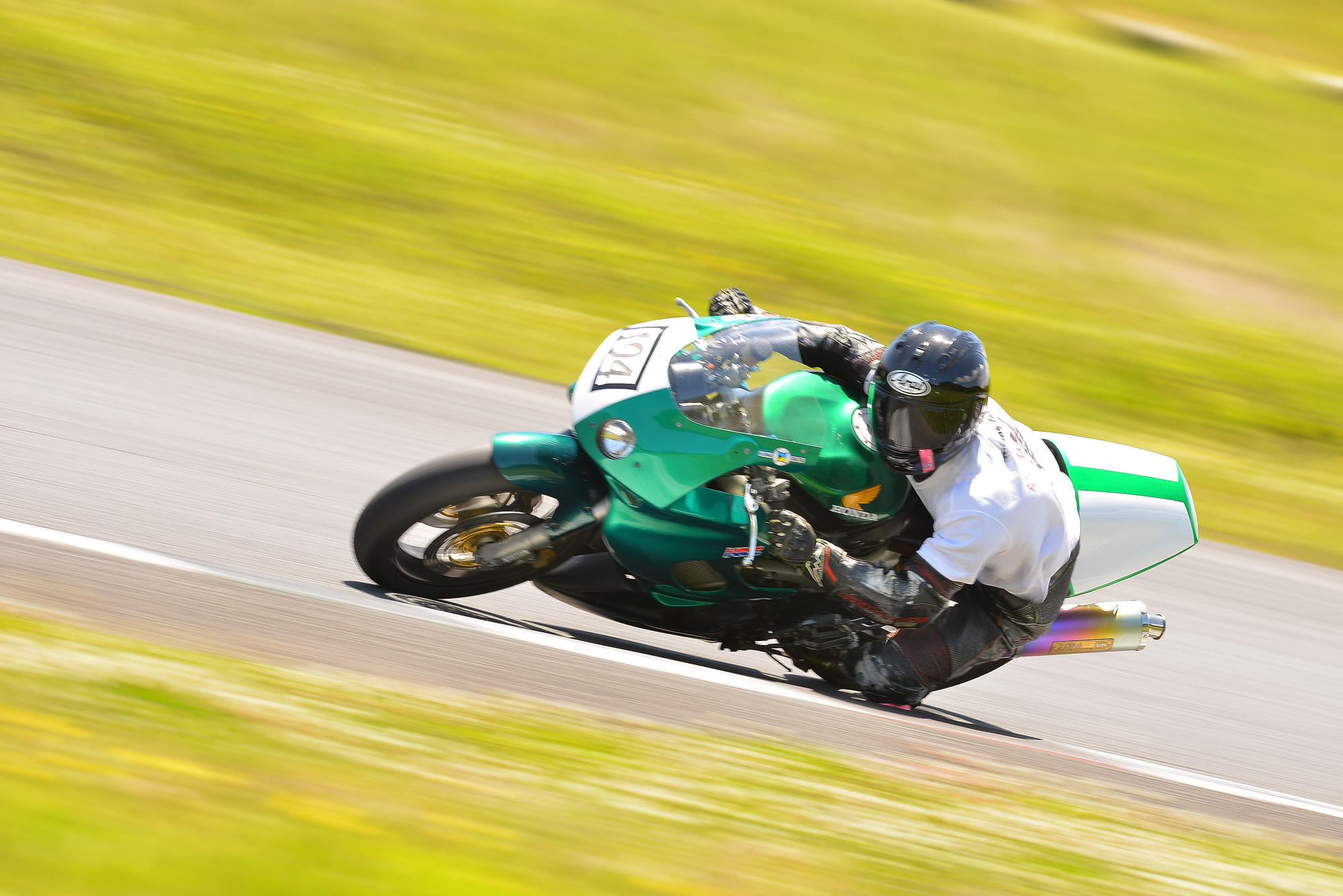 D8J_0337.JPG