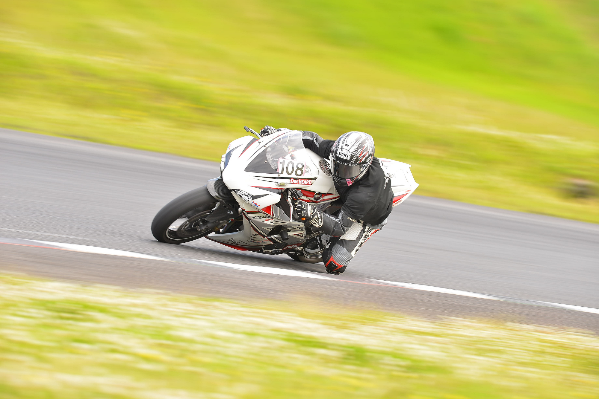 D8J_0411.JPG
