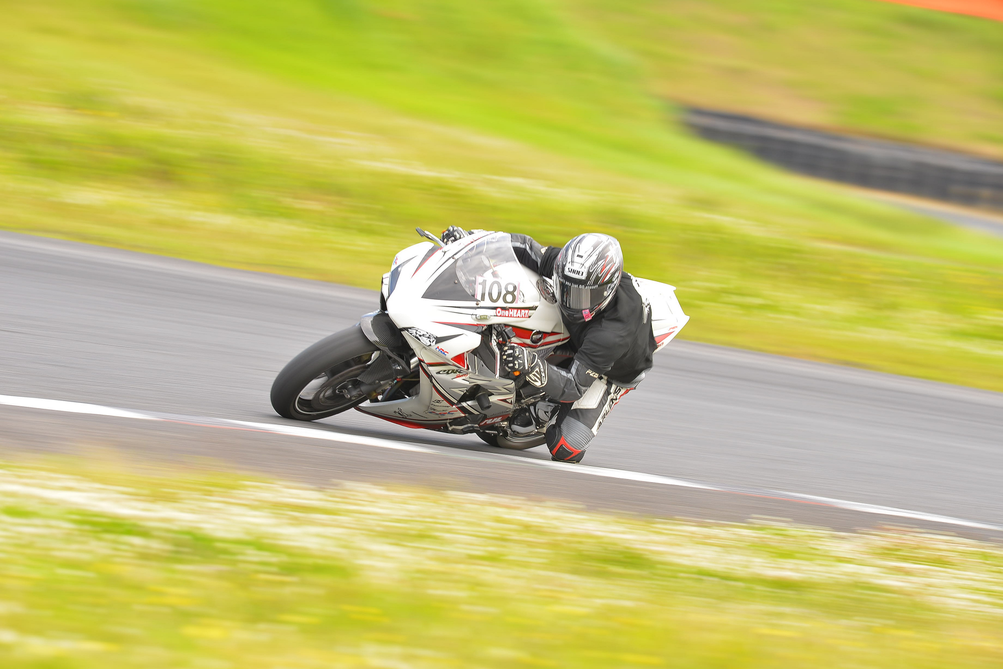 D8J_0423.JPG