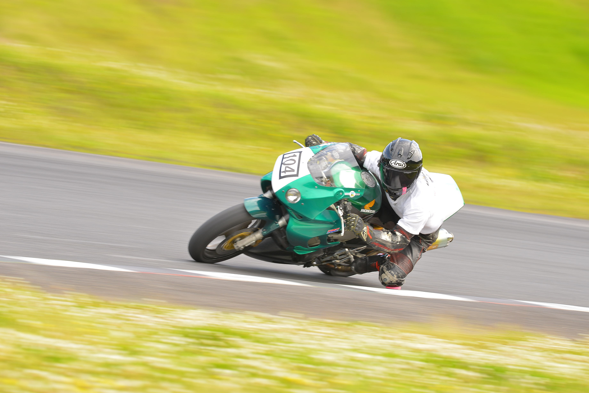 D8J_0437.JPG