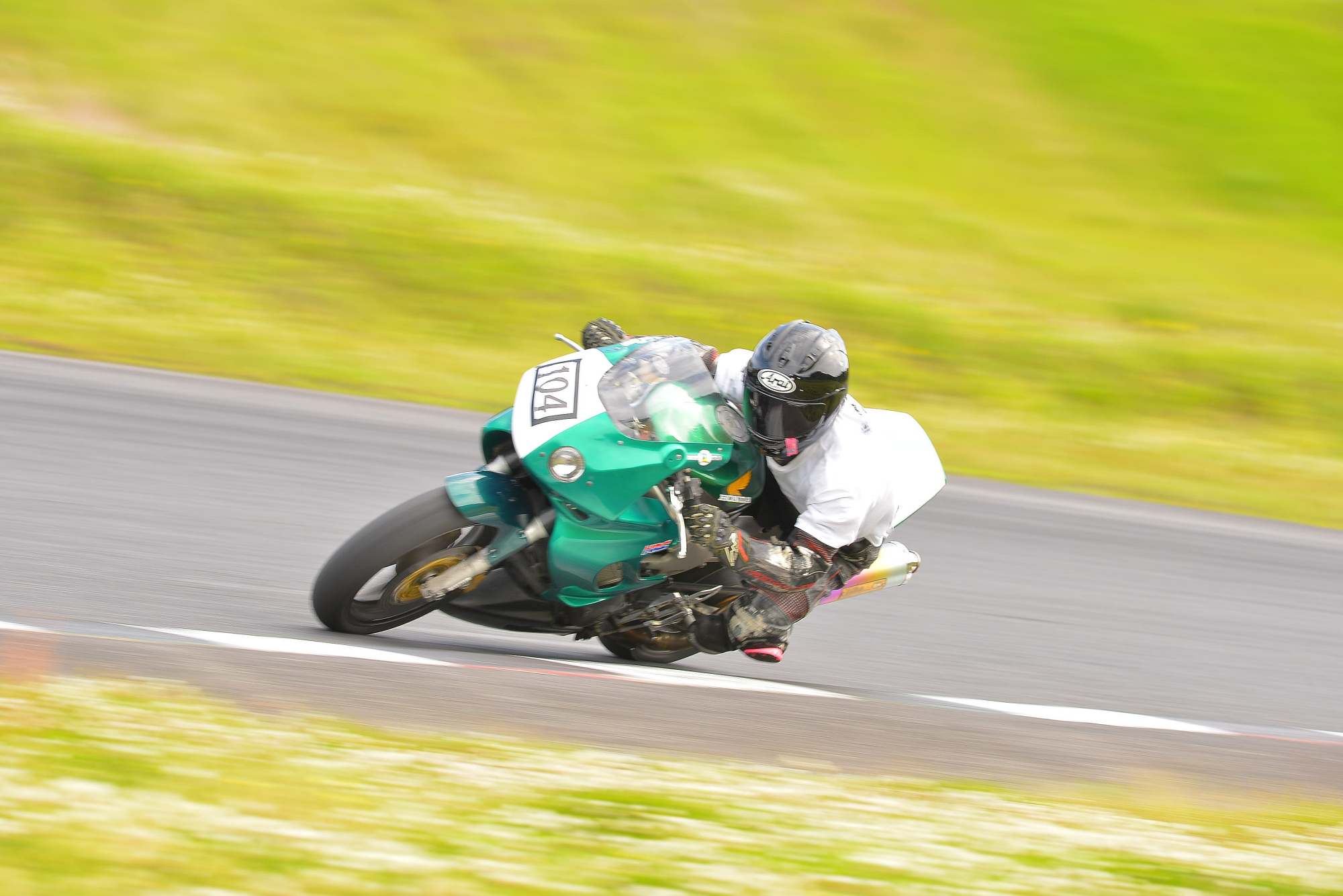 D8J_0449.JPG