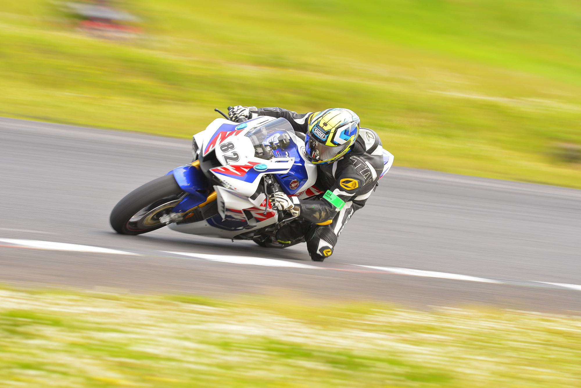 D8J_0479.JPG