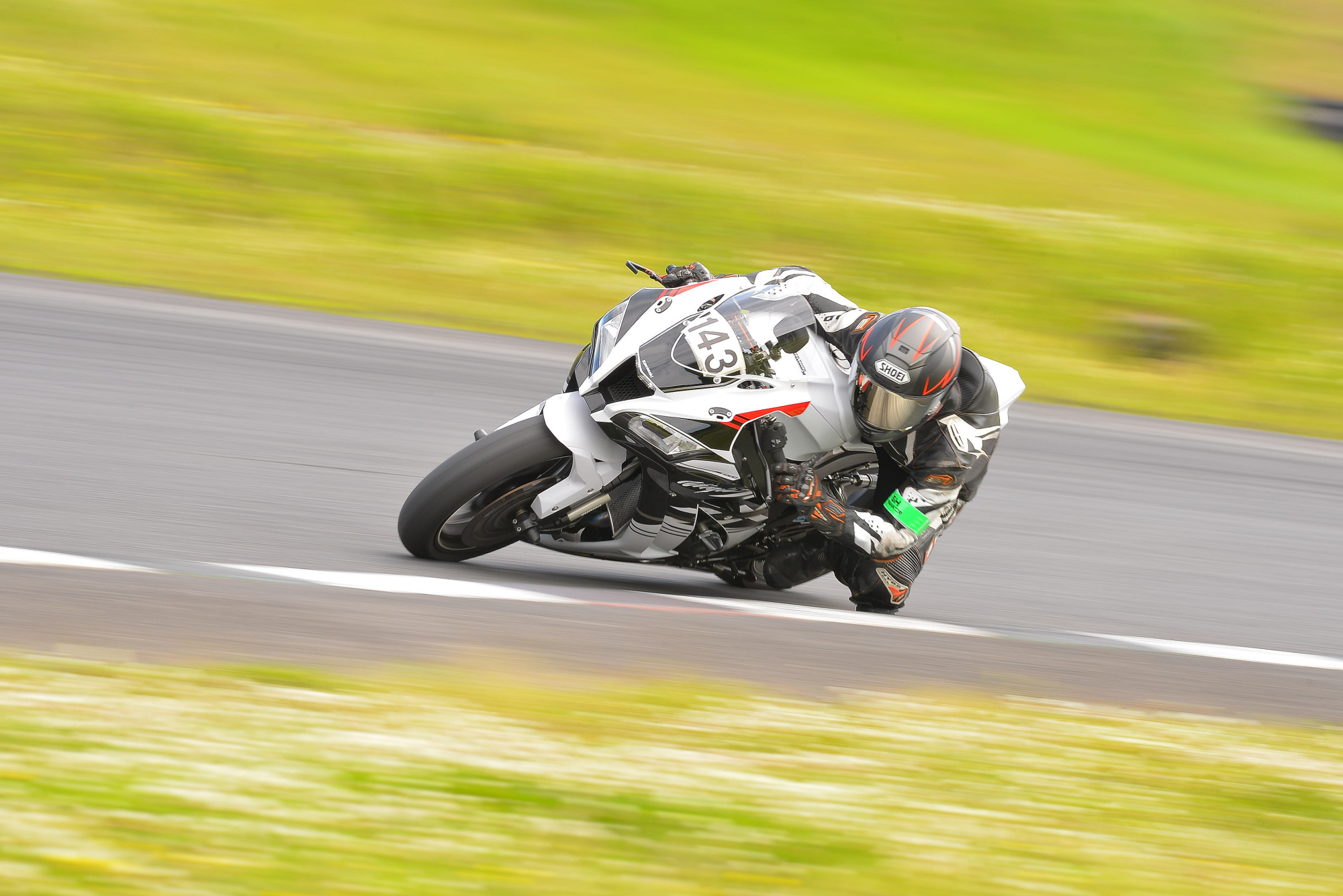 D8J_0488.JPG