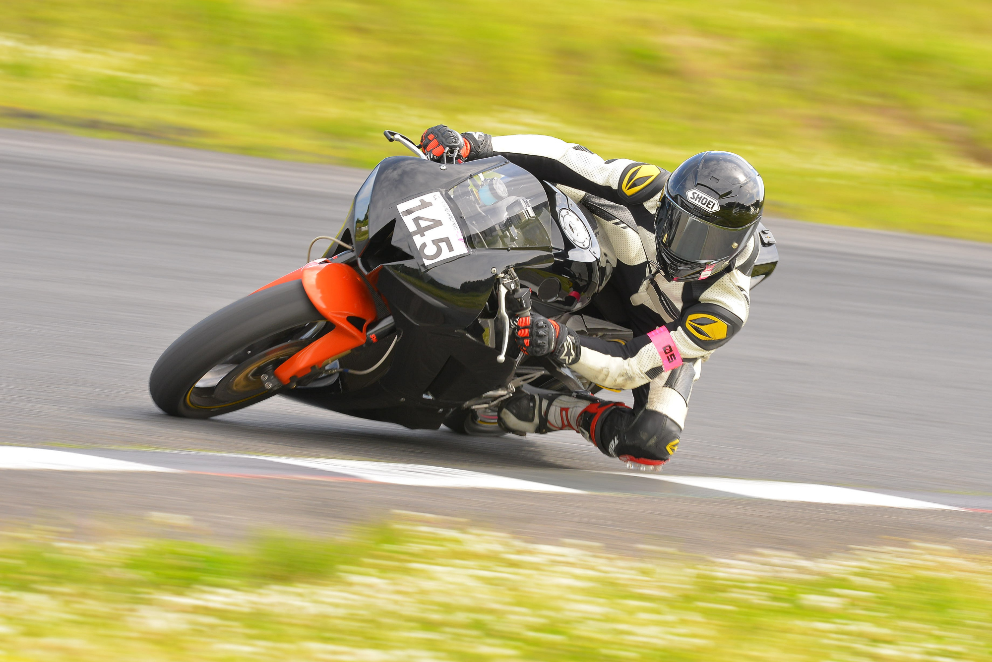 D8J_0516.JPG