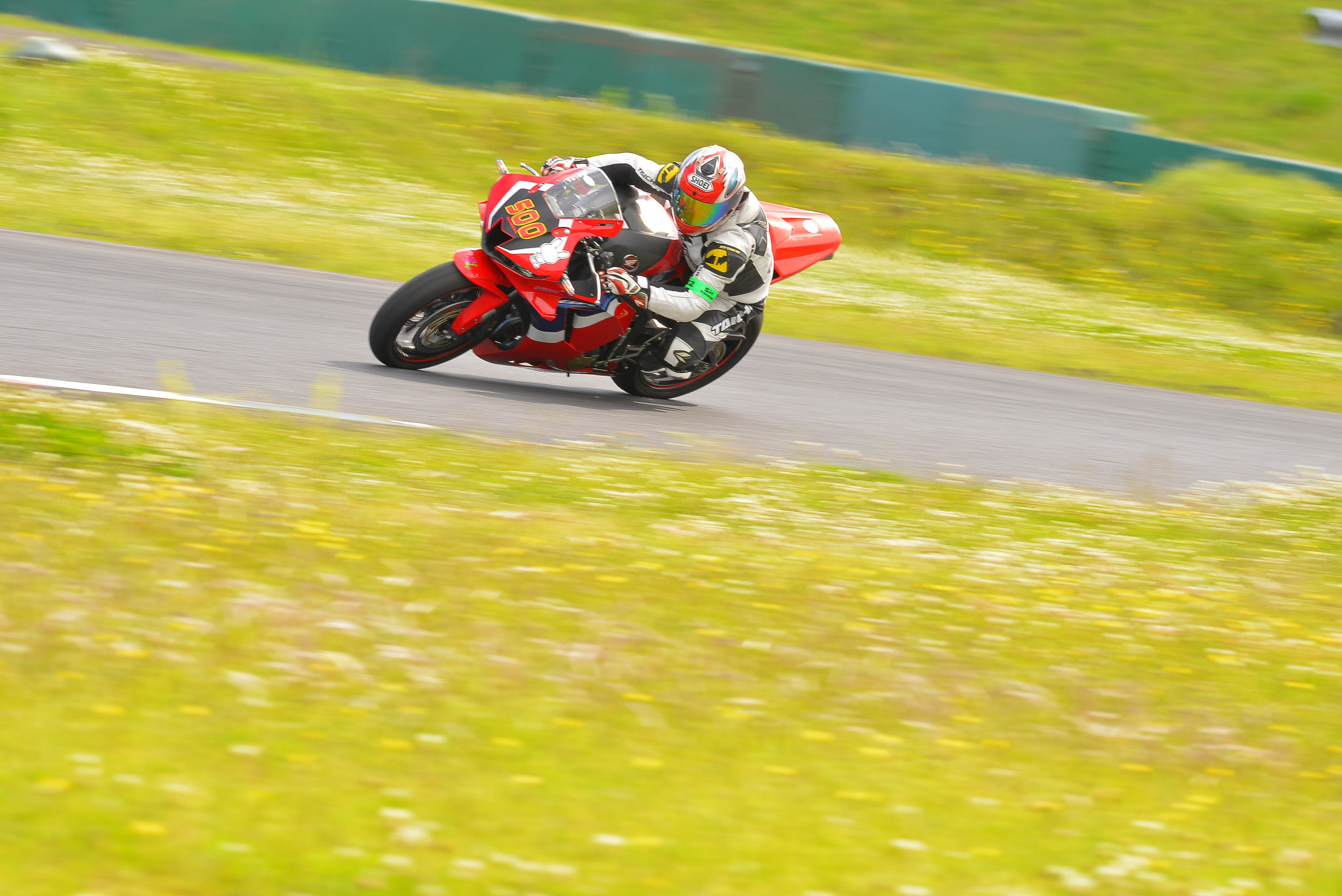 D8J_0529.JPG