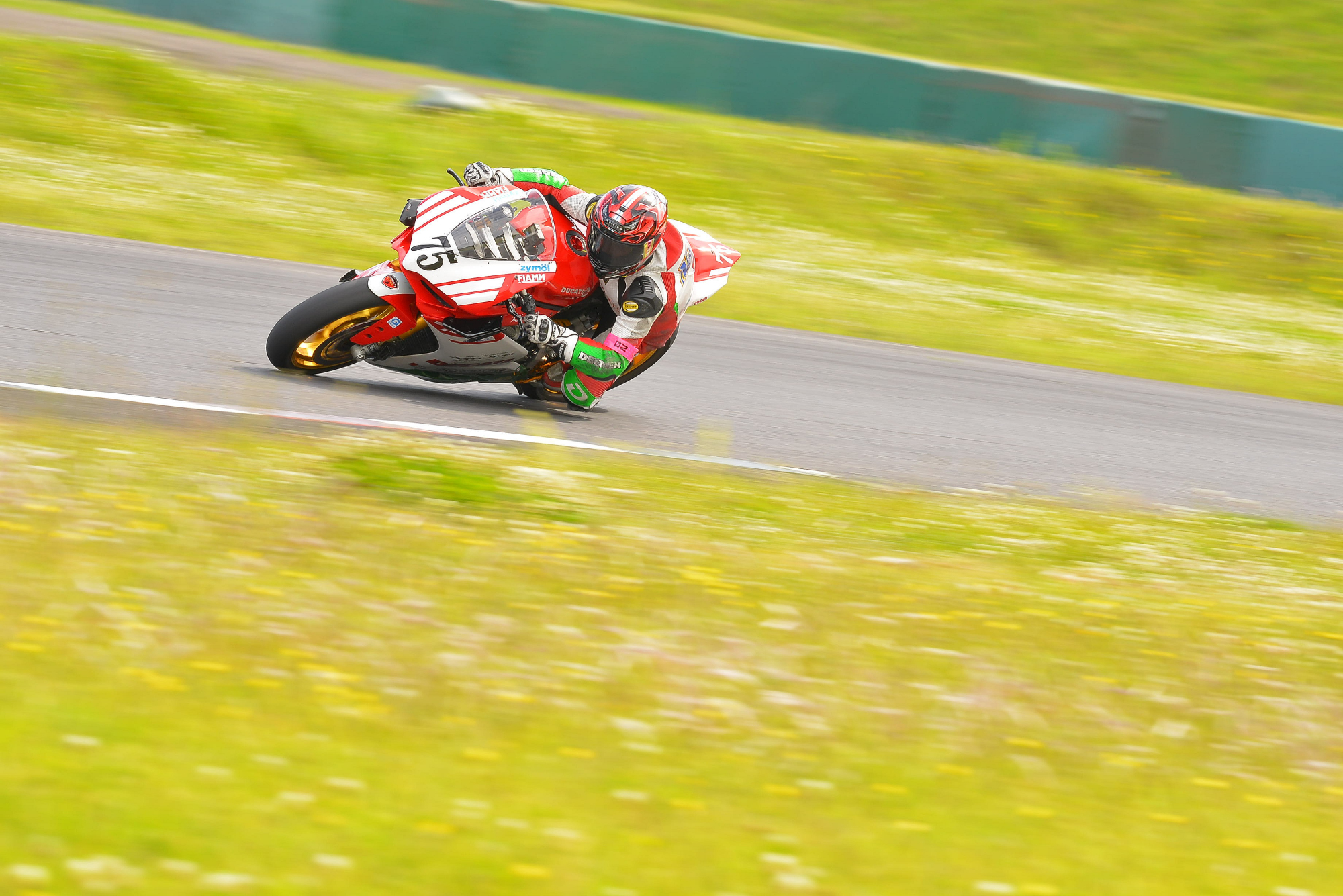 D8J_0531.JPG