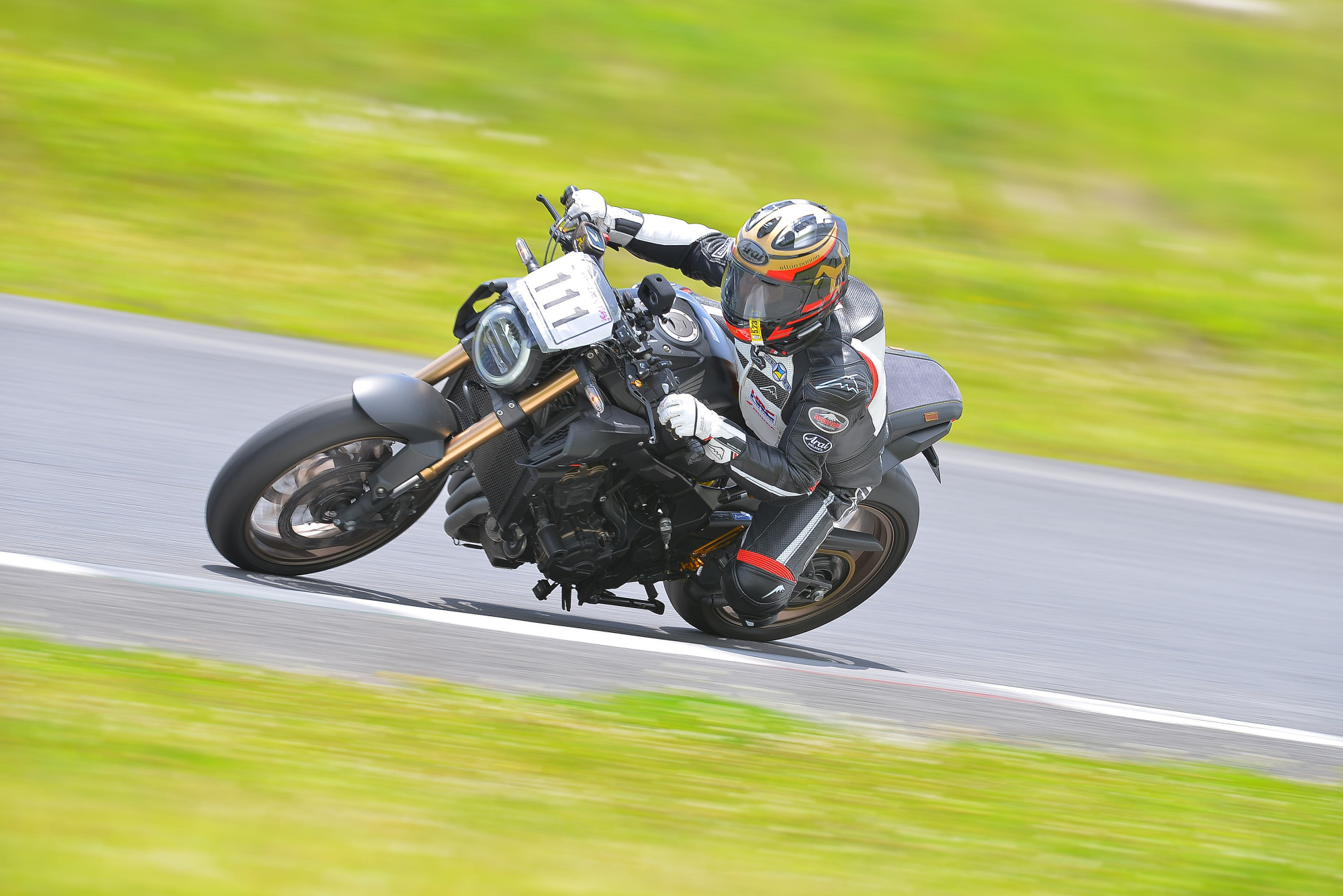 D8J_0295.JPG