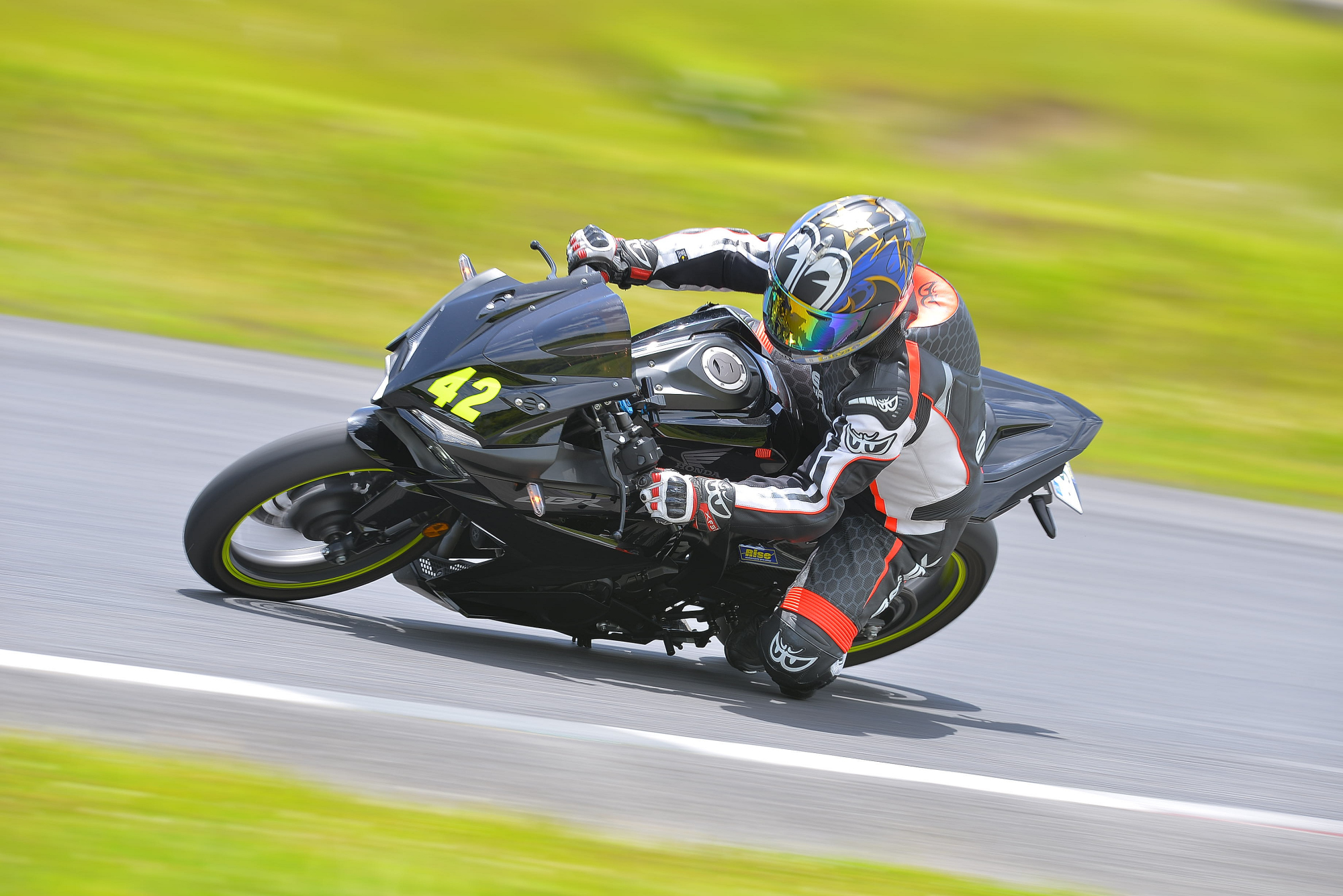 D8J_0311.JPG