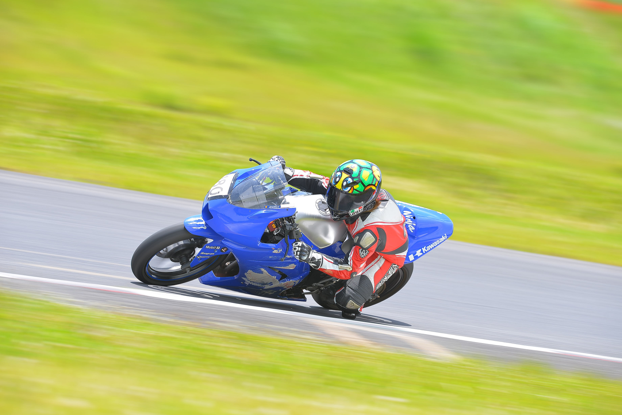 D8J_0372.JPG