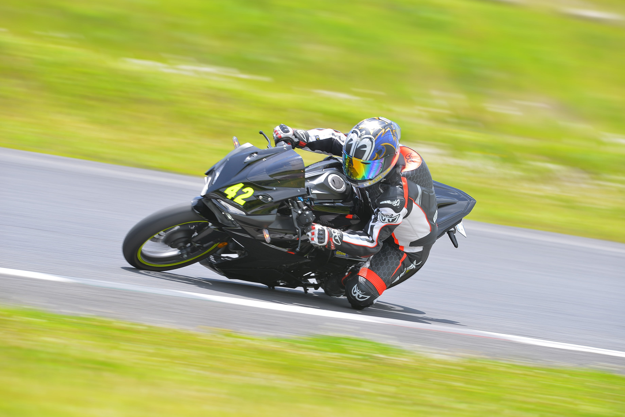 D8J_0379.JPG