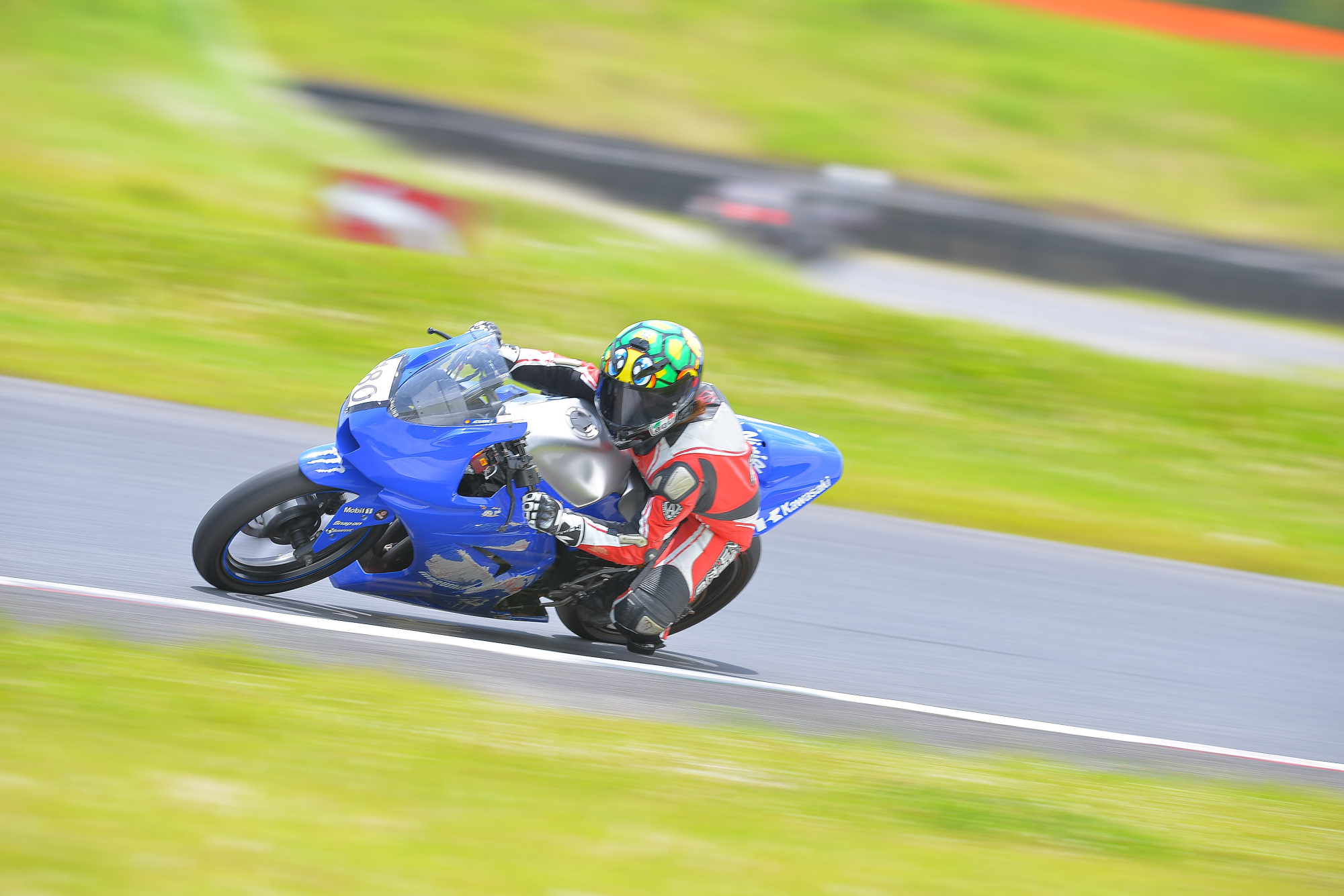 D8J_0392.JPG