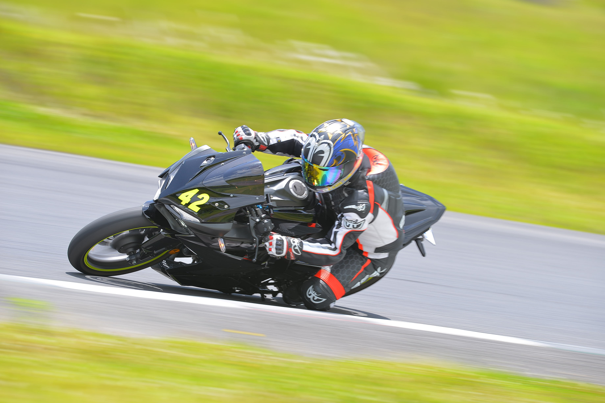 D8J_0403.JPG