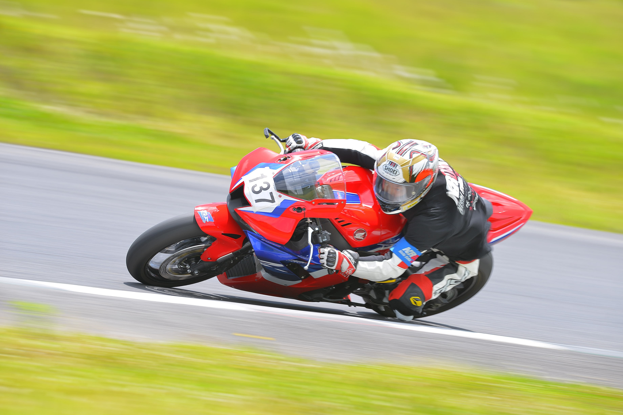 D8J_0462.JPG