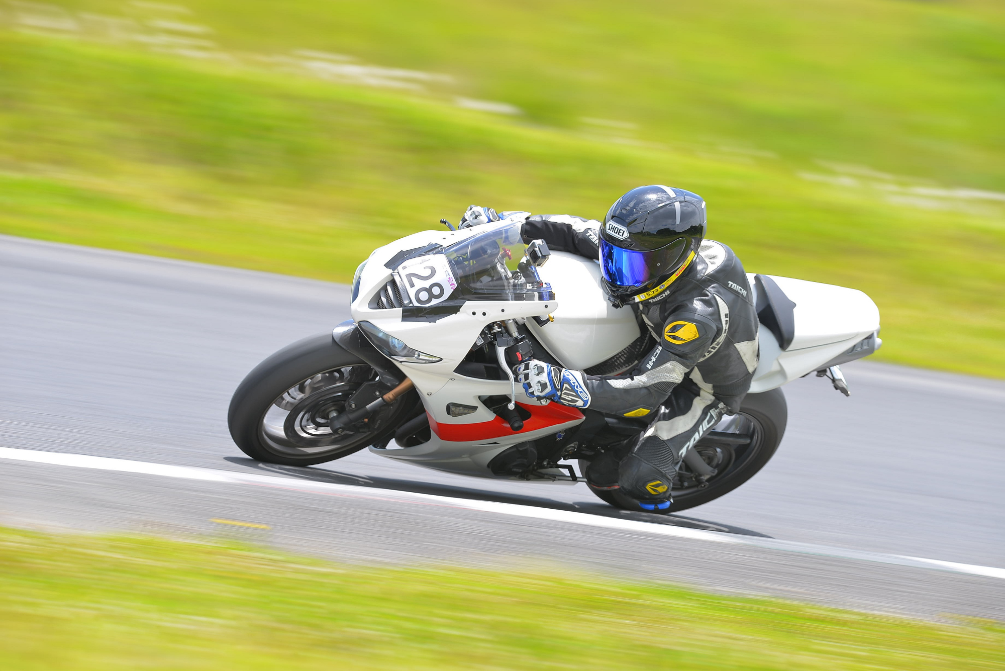 D8J_0488.JPG