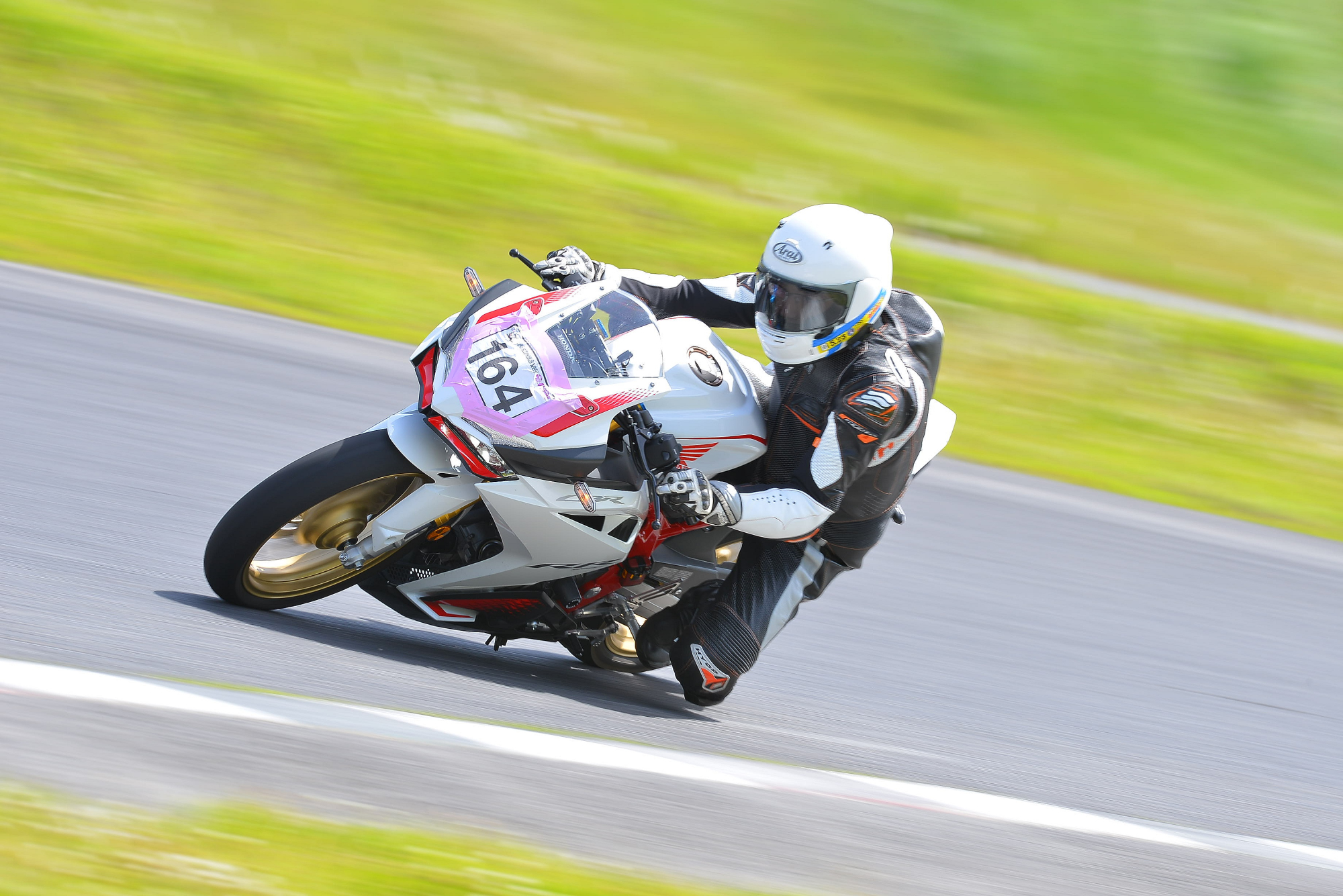 D8J_0968.JPG