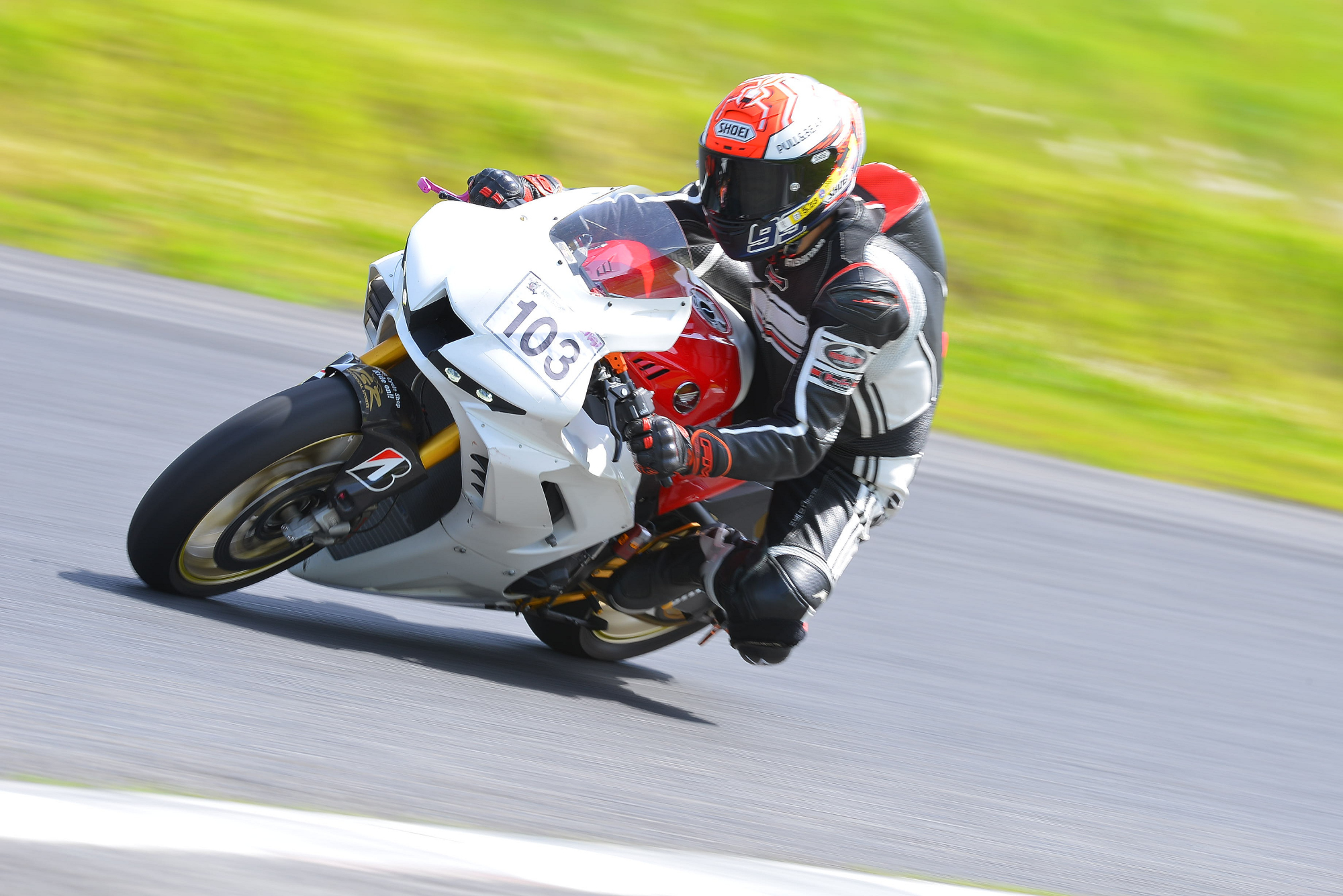 D8J_1019.JPG
