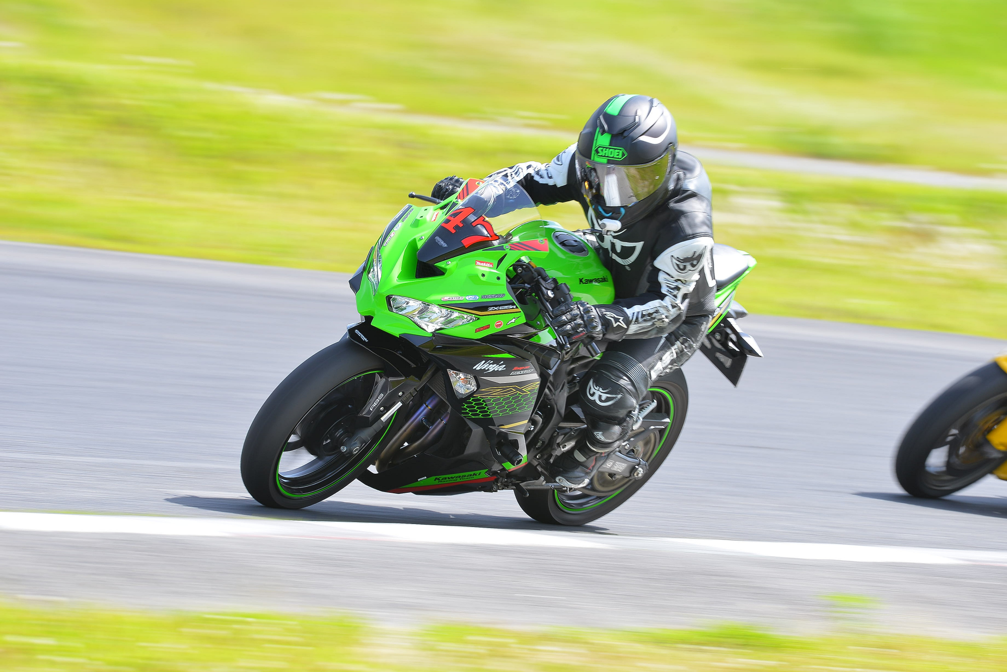 D8J_1083.JPG