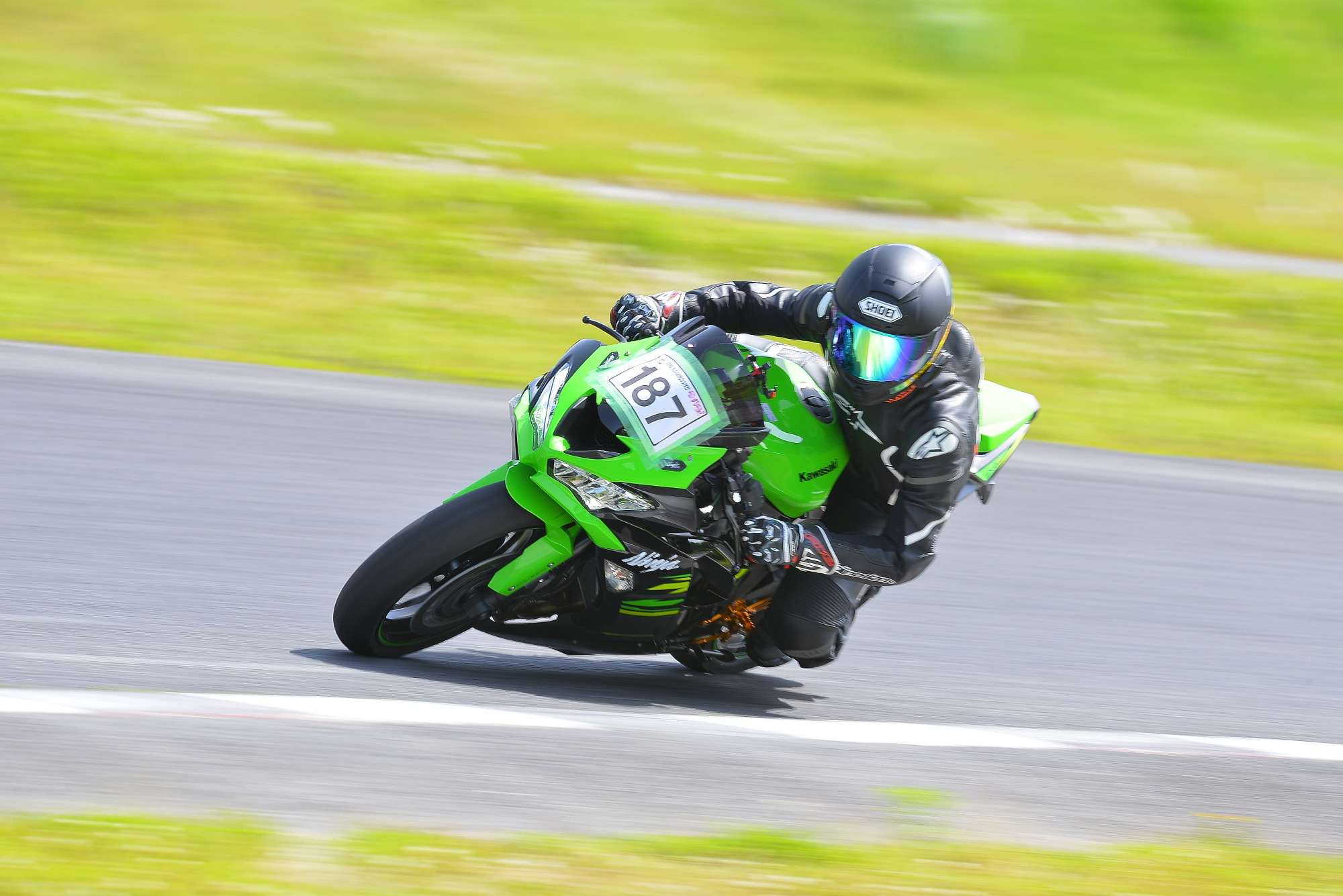 D8J_1095.JPG