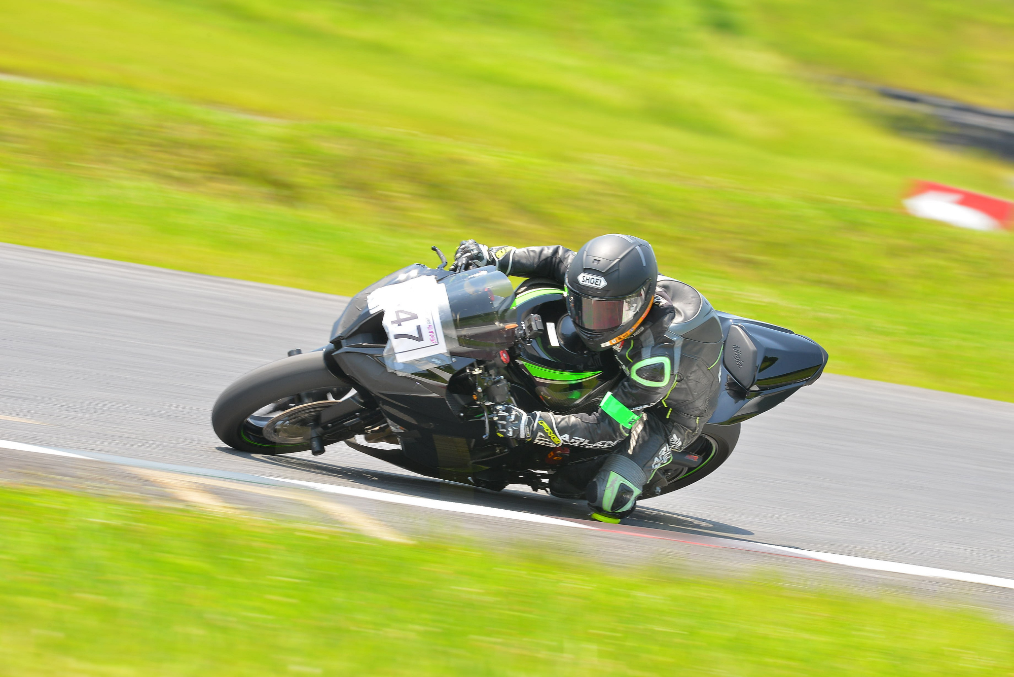 D8J_0031.JPG