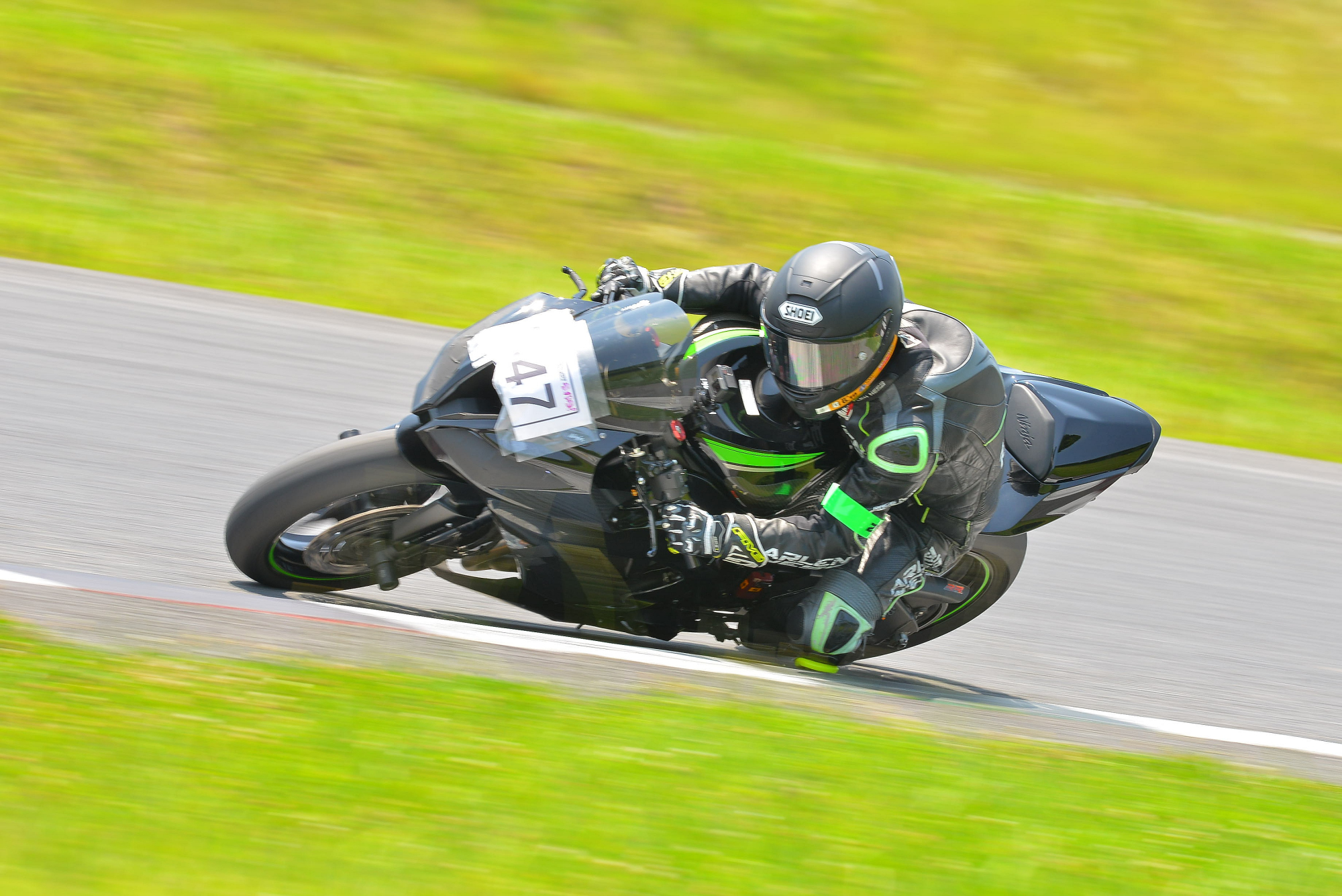D8J_0045.JPG