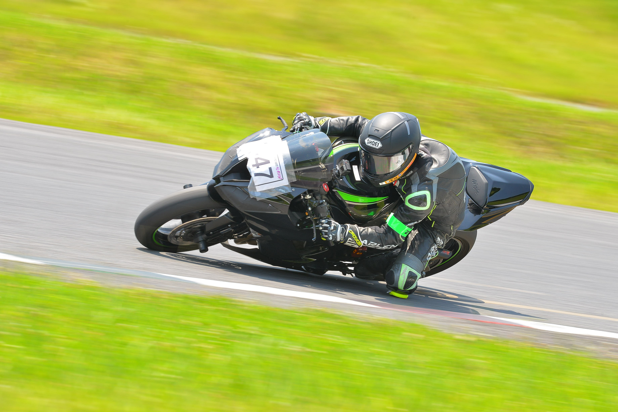 D8J_0061.JPG