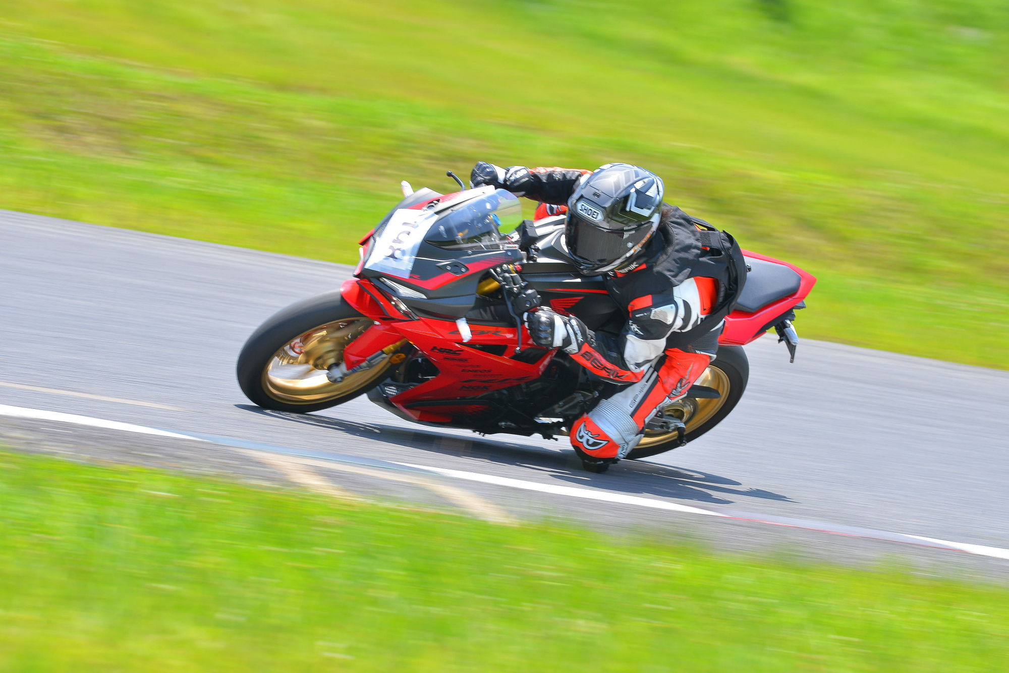 D8J_0585.JPG