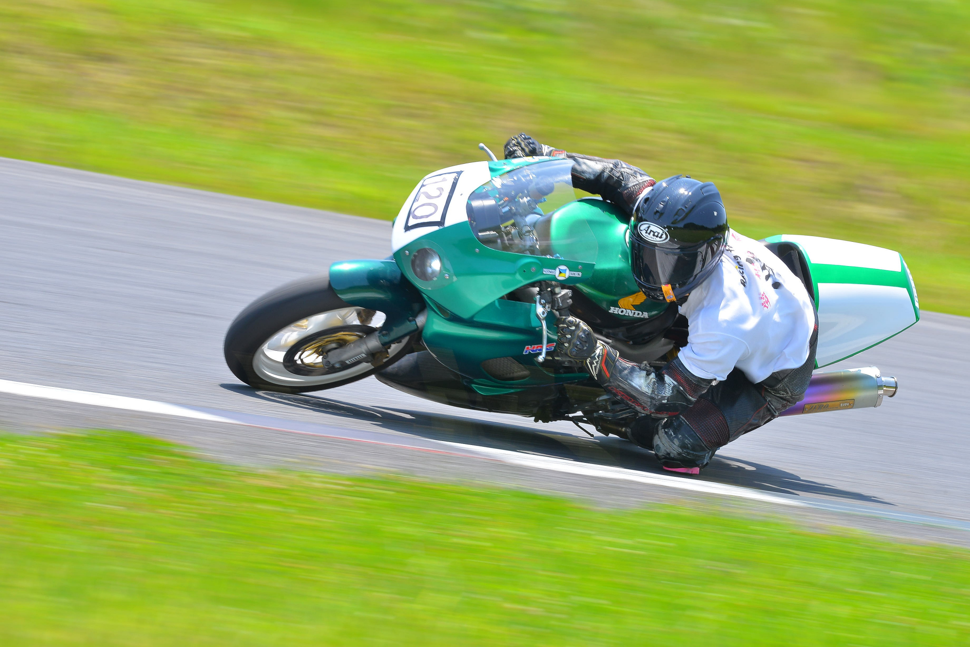 D8J_0669.JPG