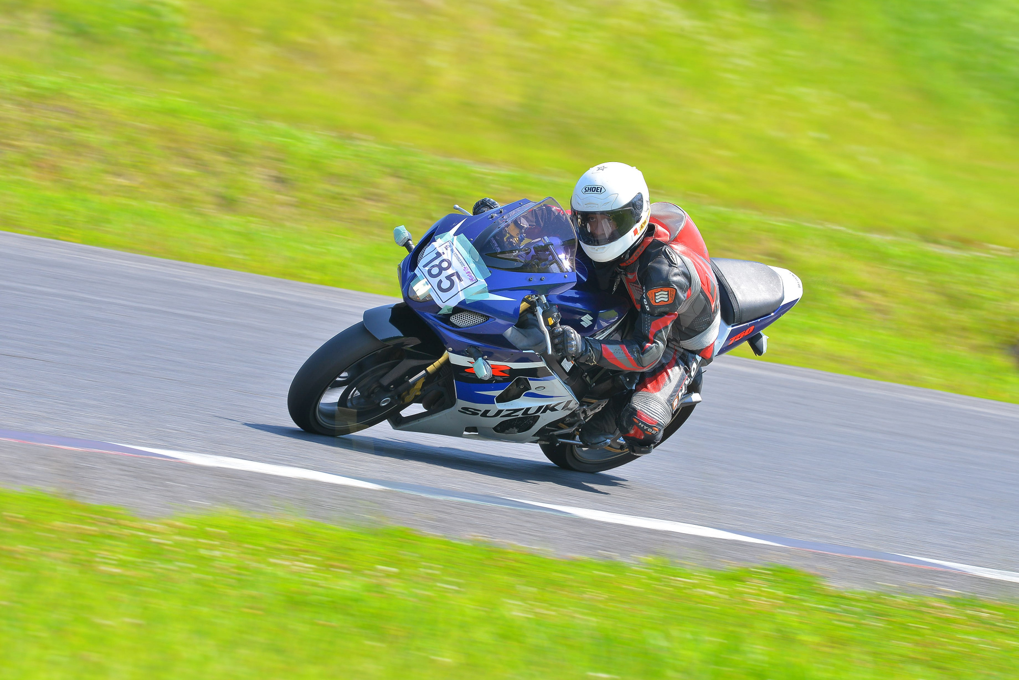 D8J_1115.JPG