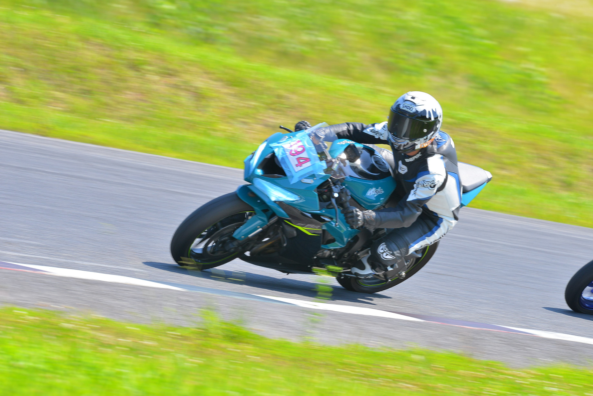 D8J_1126.JPG