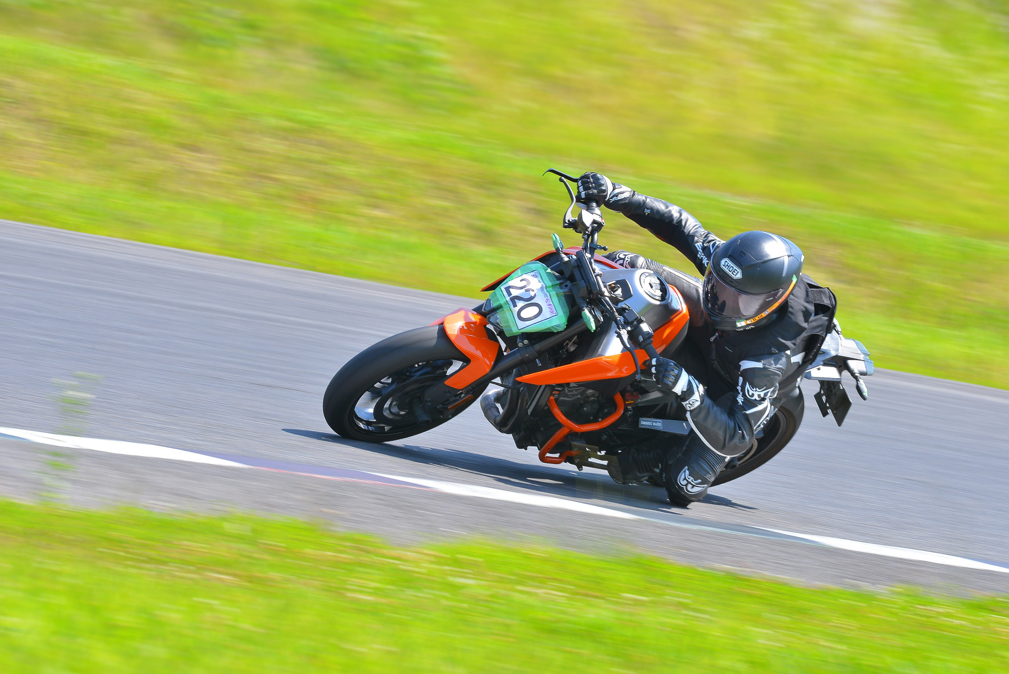 D8J_1130.JPG