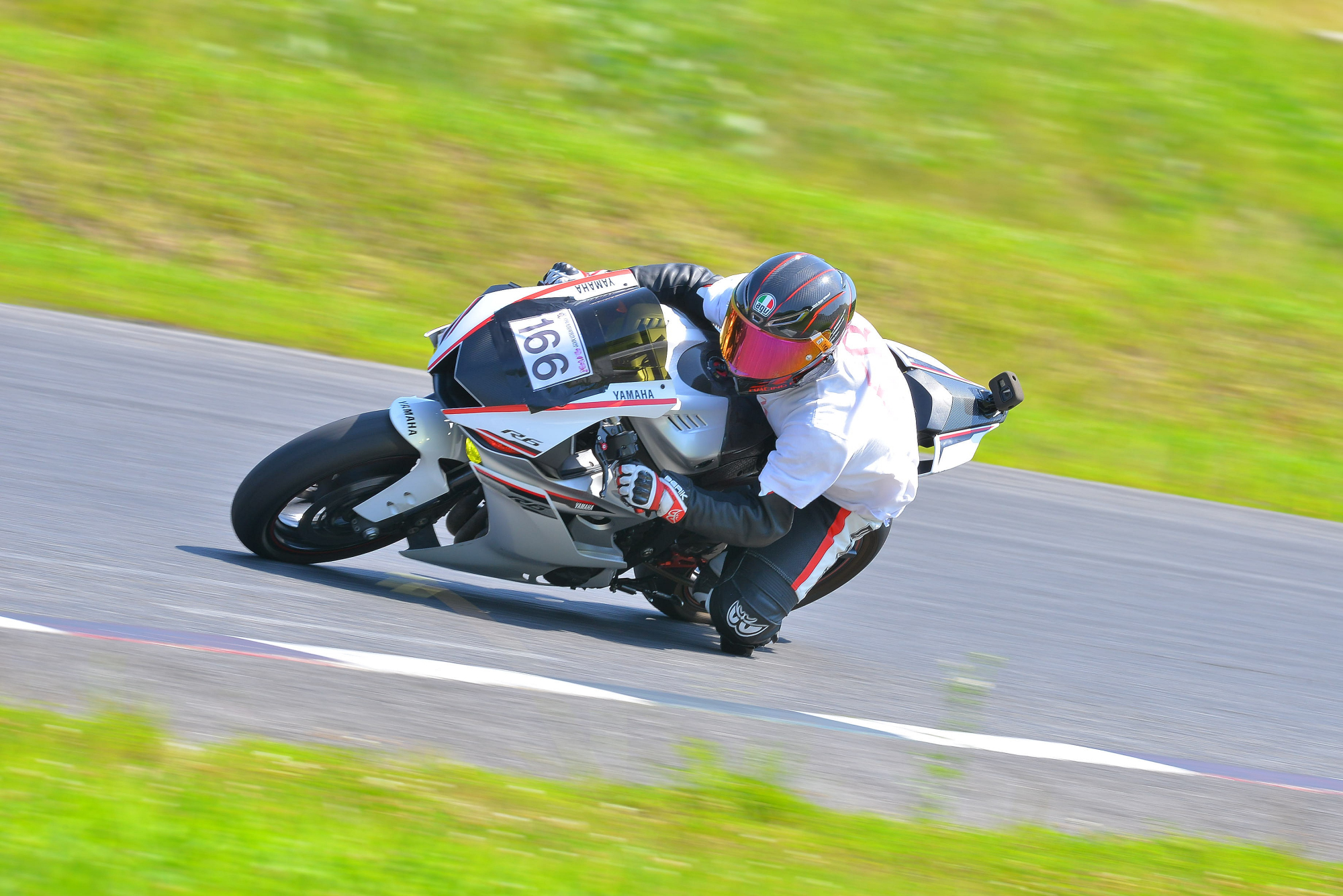 D8J_1137.JPG