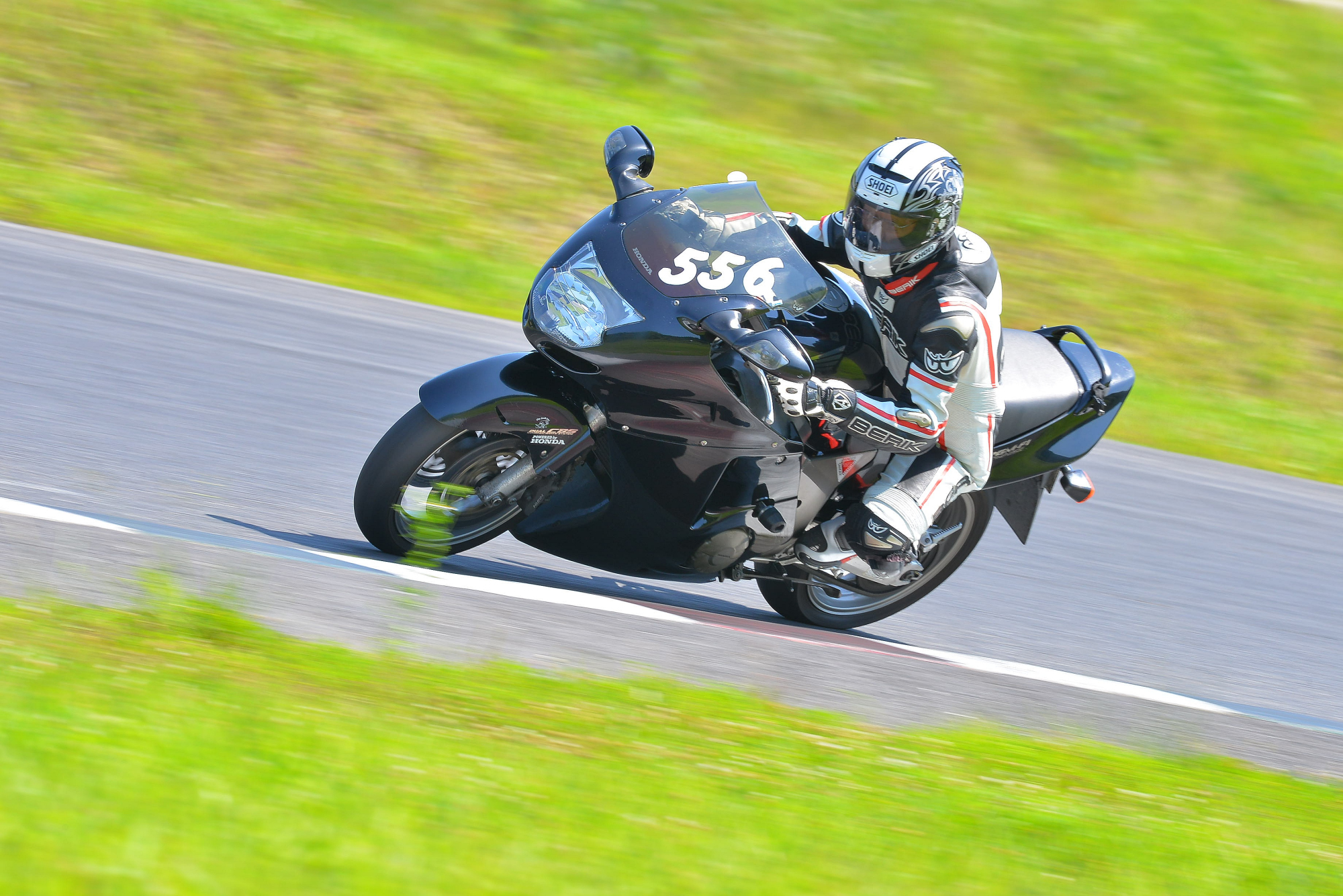 D8J_1142.JPG
