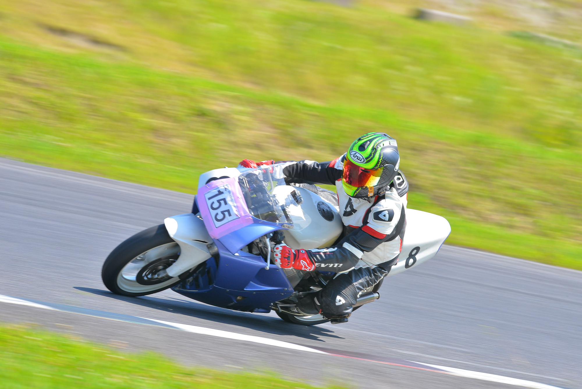 D8J_1146.JPG