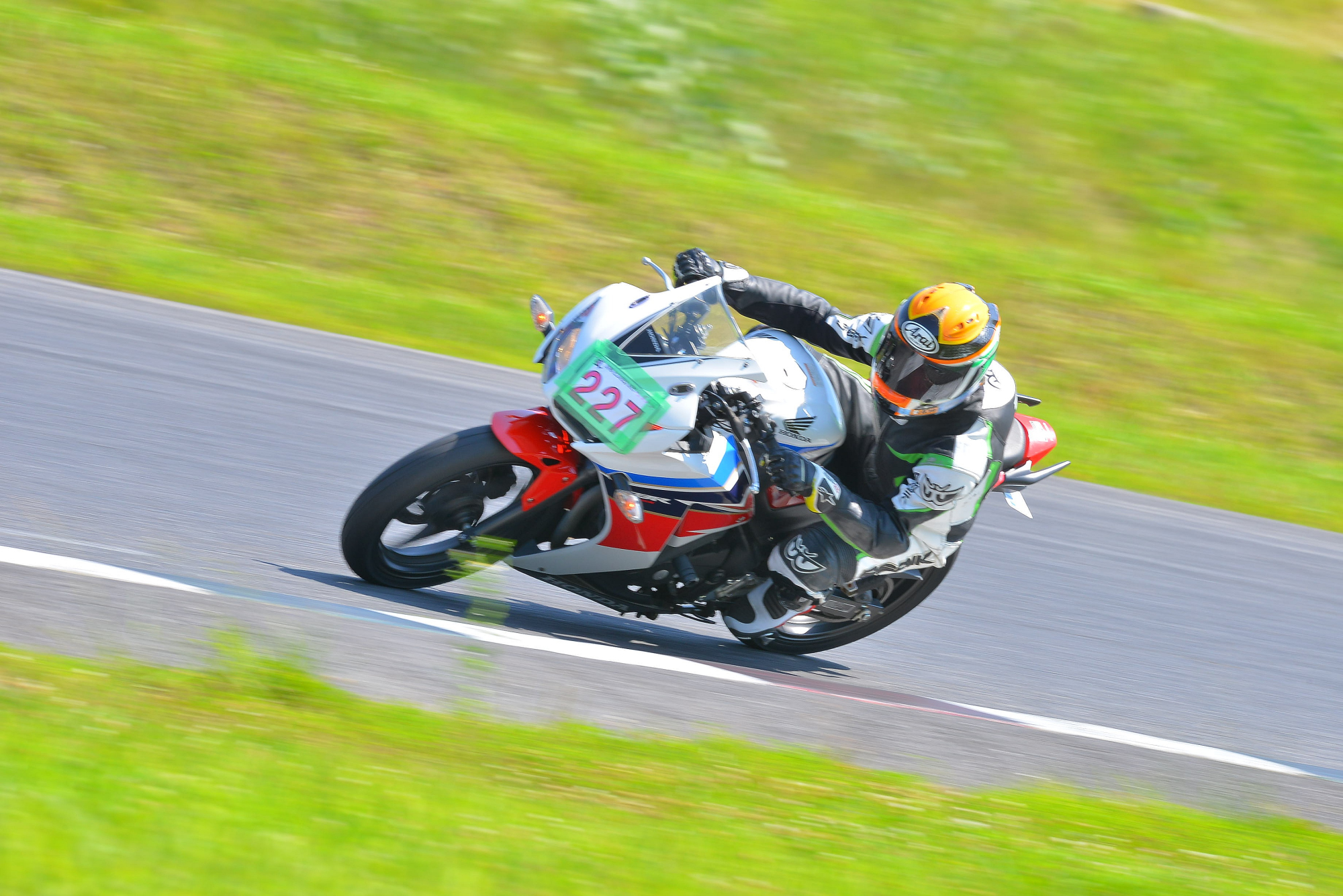 D8J_1157.JPG