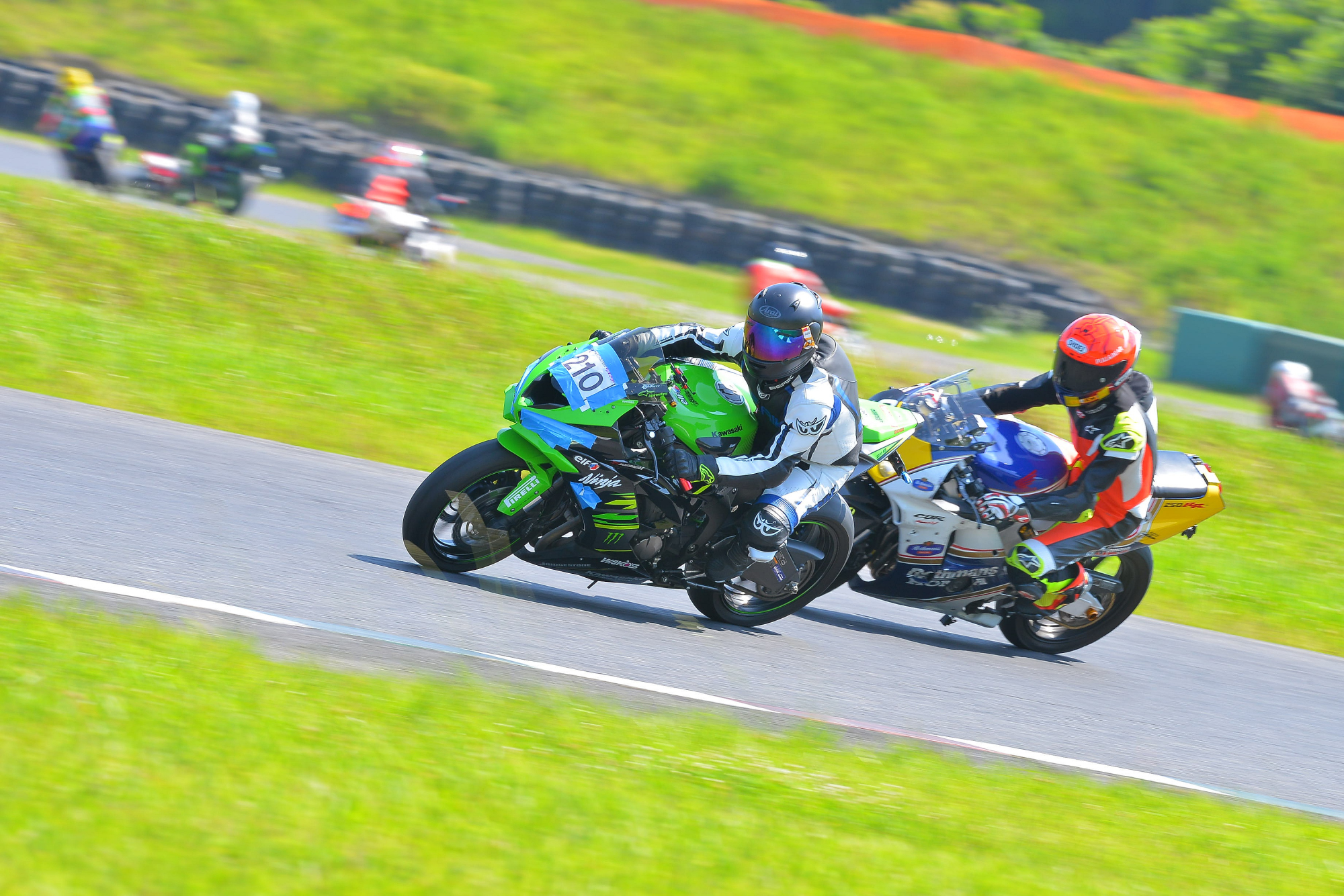 D8J_1158.JPG