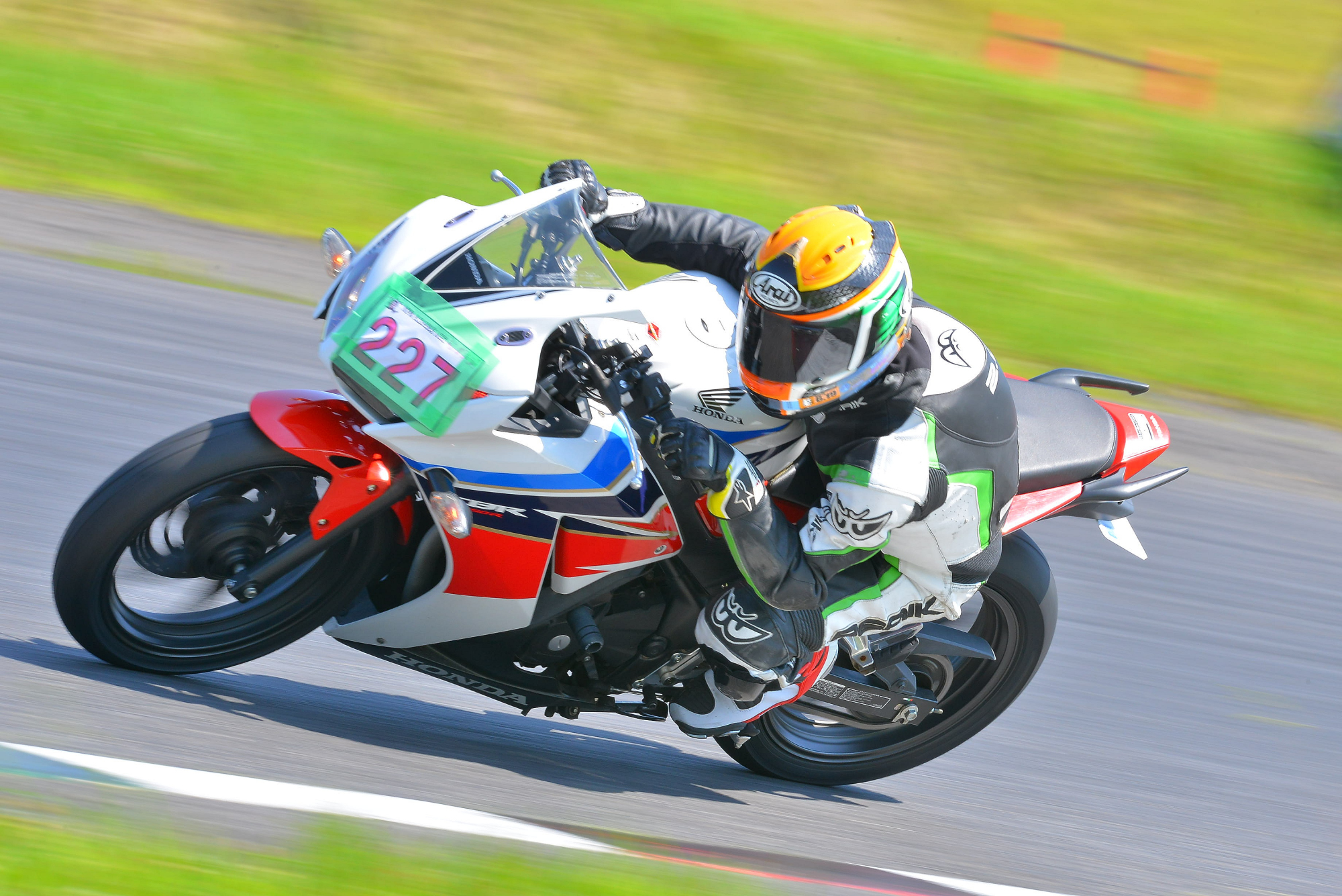 D8J_1175.JPG