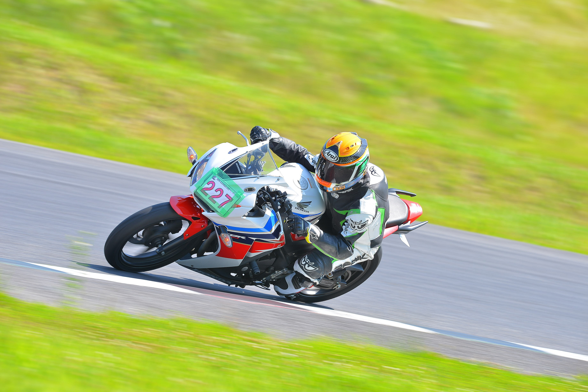 D8J_1184.JPG